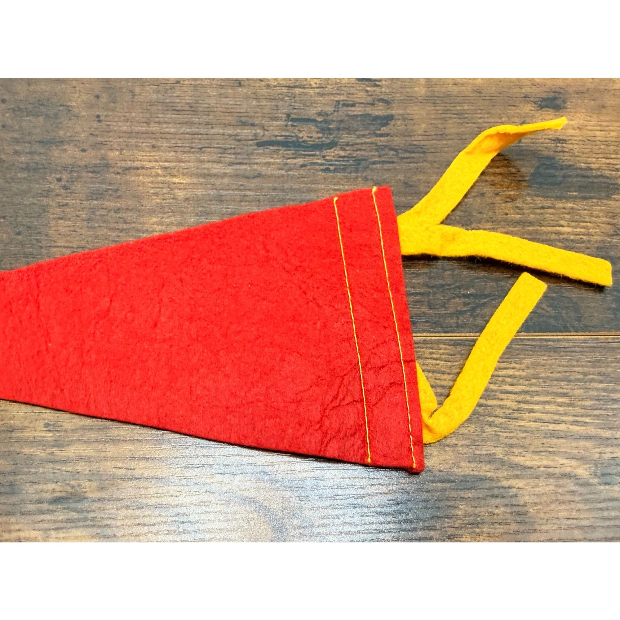 Vintage Penn's Cave PA Felt Pennant Collectible Souvenir Memorabilia 9 inches