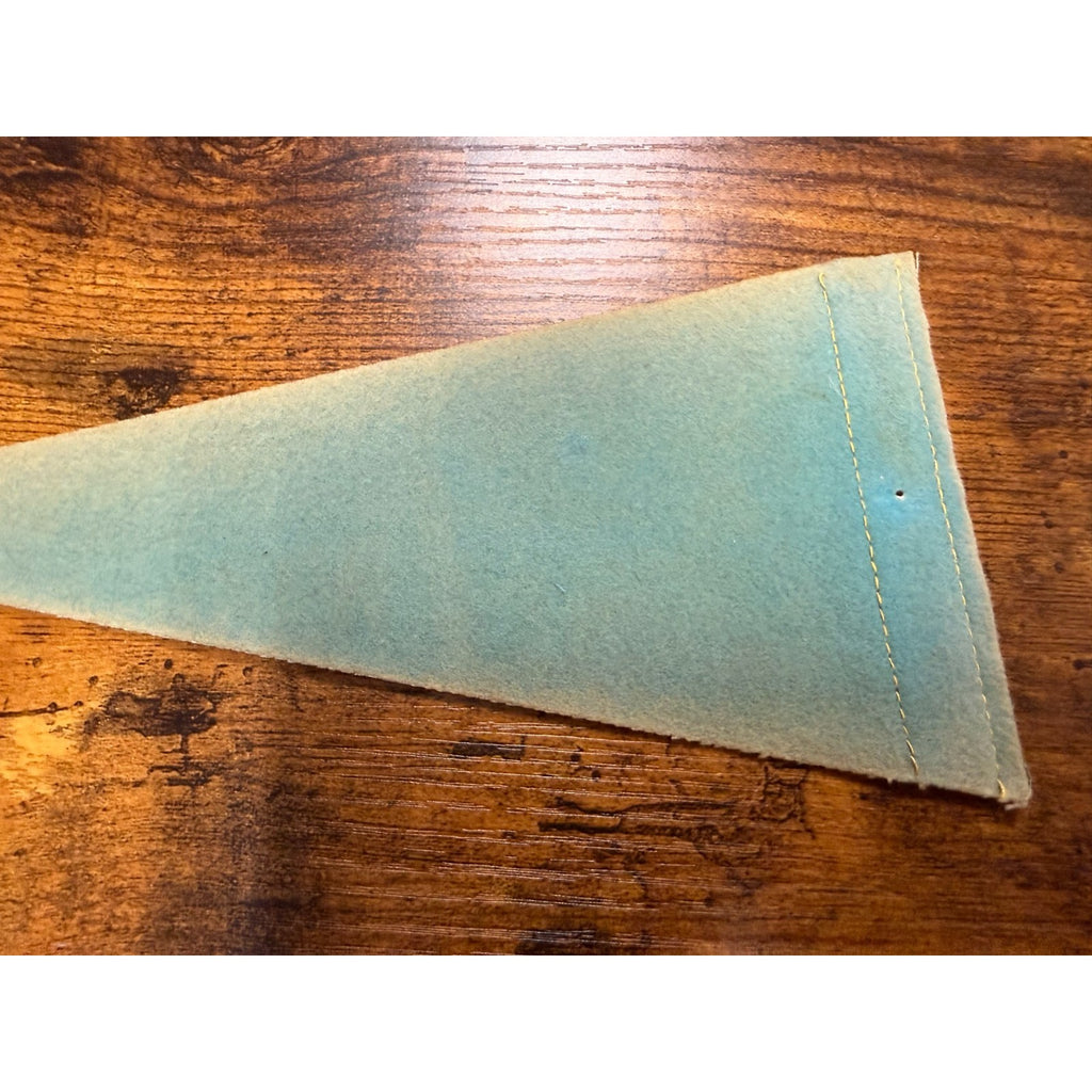 Vintage Virginia mini pennant