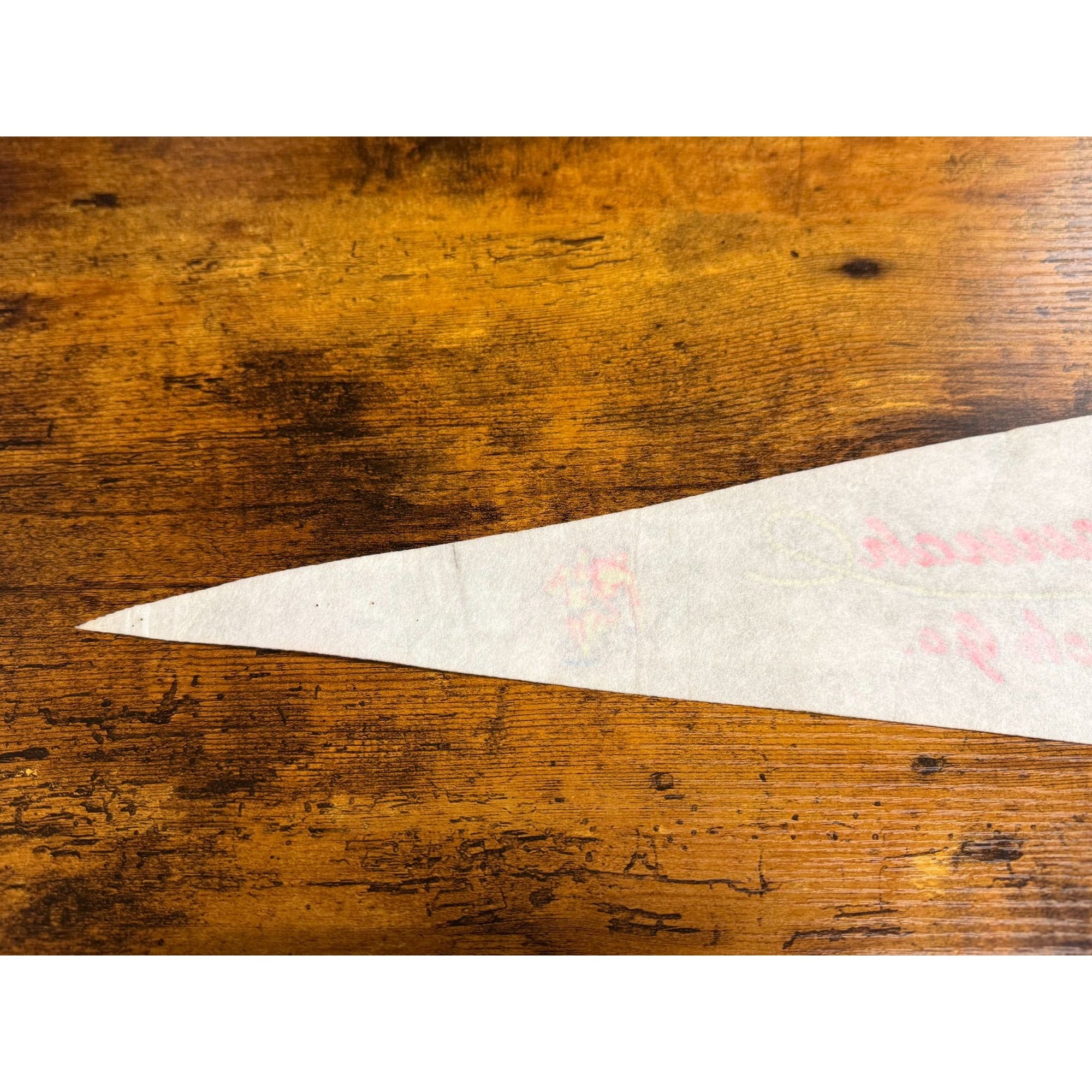 Vintage Savannah Beach Ga Souvenir Pennant