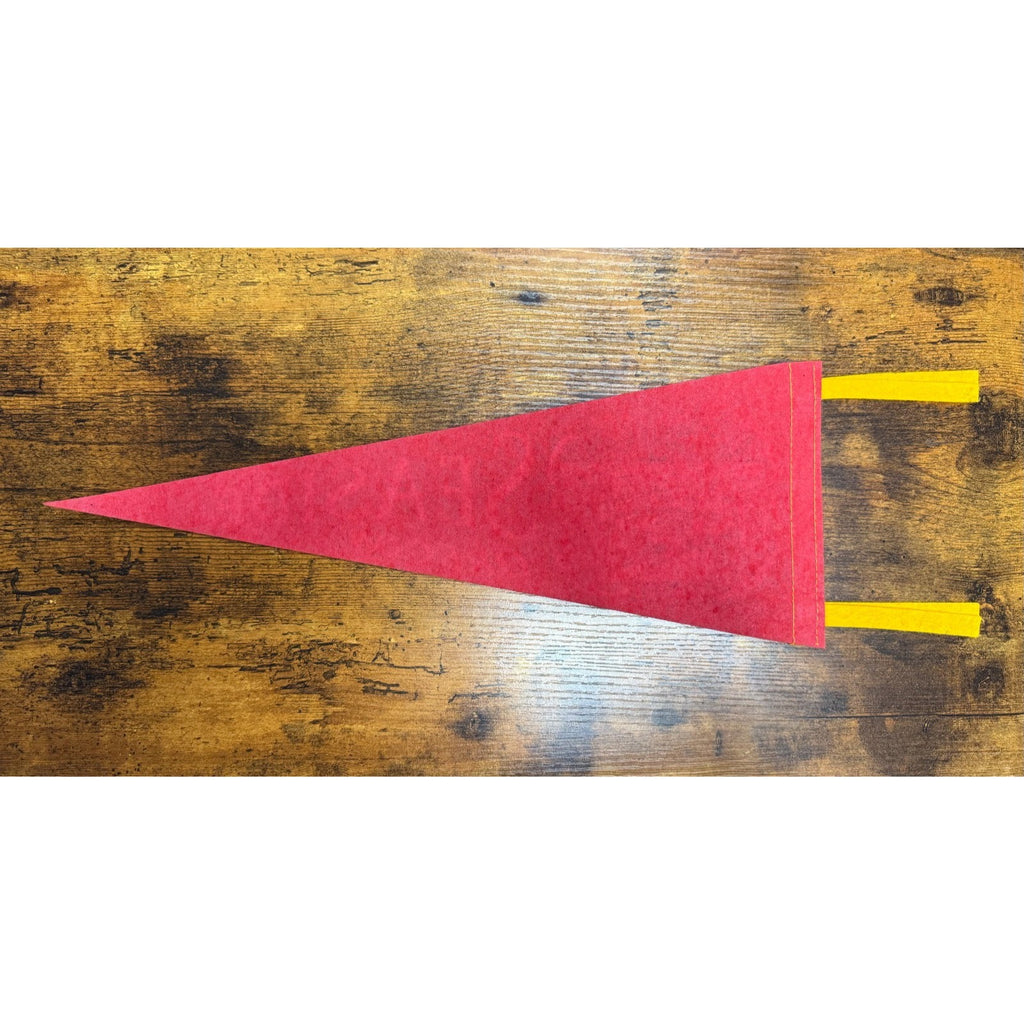 Vintage Seaside Oregon pennant