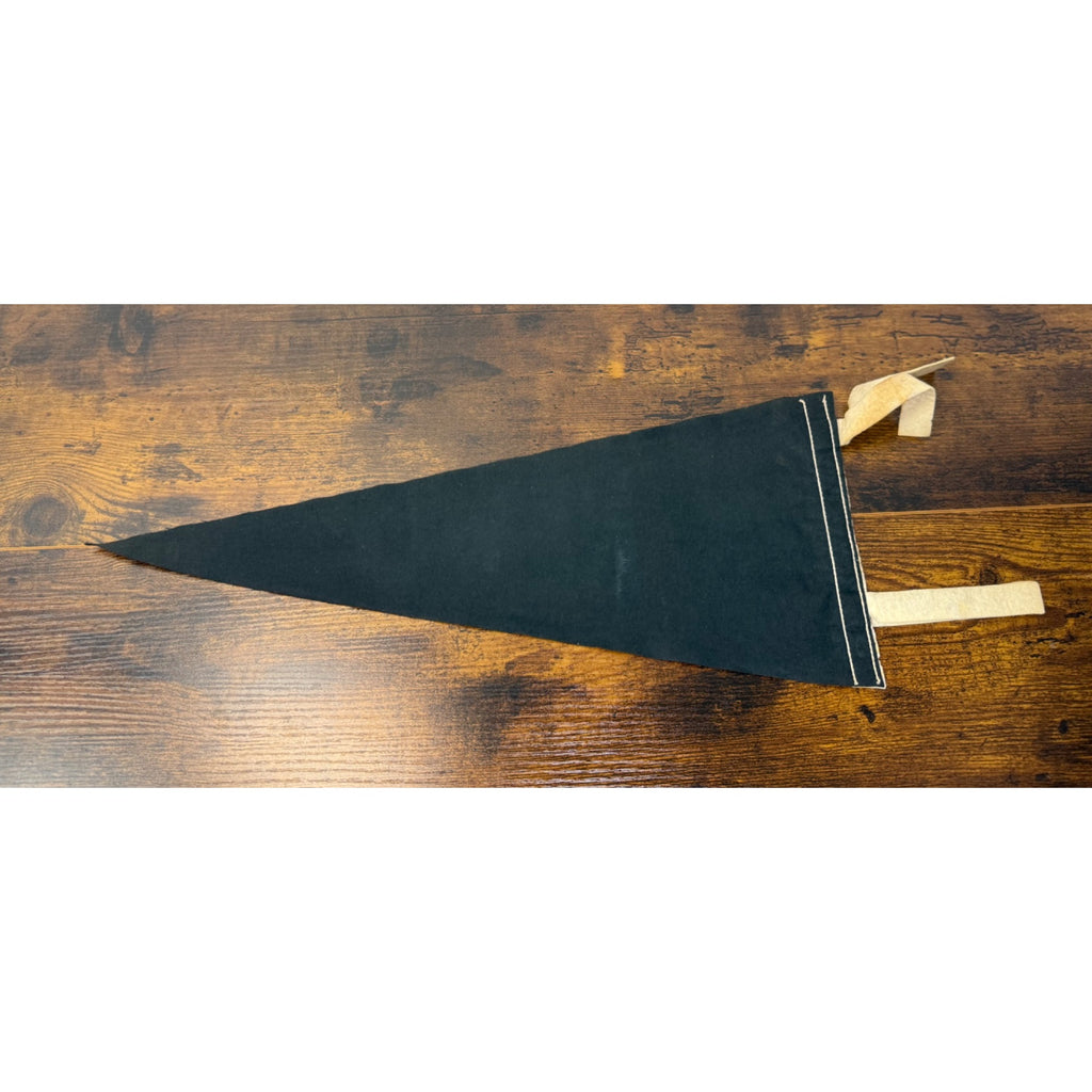 Vintage New Hampshire Pennant With Old Man Of The Mountain Graphic