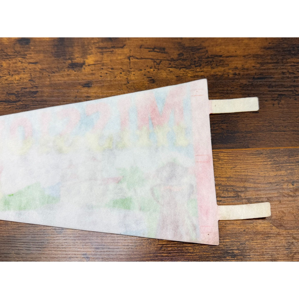Vintage Mission Santa Barbara Souvenir Pennant Flag Queen Of The Missions