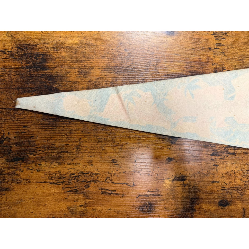 Vintage Tarpon Springs, Florida pennant