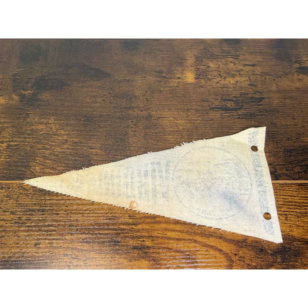 Vintage Virginia City Montana Souvenir Pennant With Stagecoach Illustration