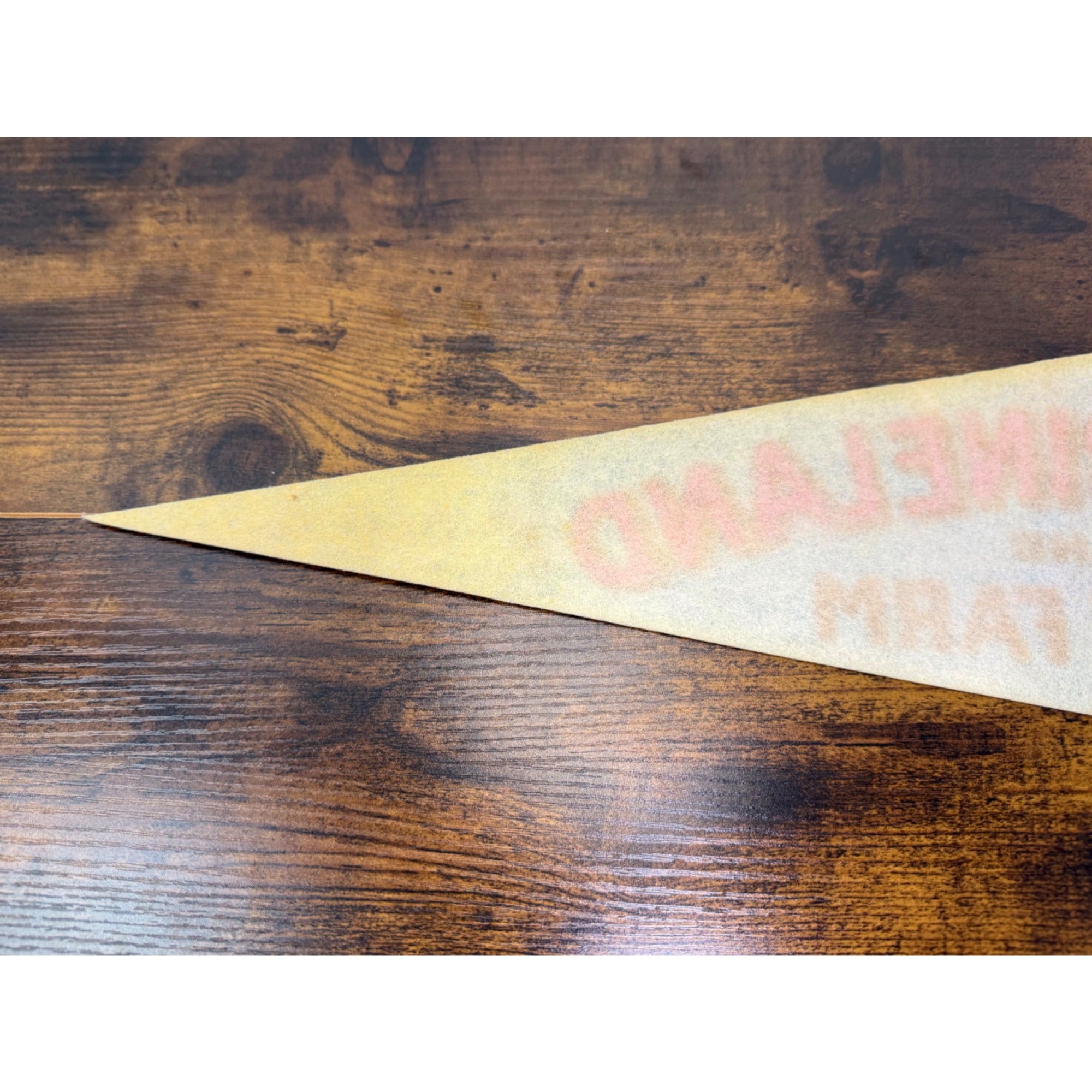 Vintage Marineland & Game Farm Pennant Canada Souvenir Dolphin Graphic