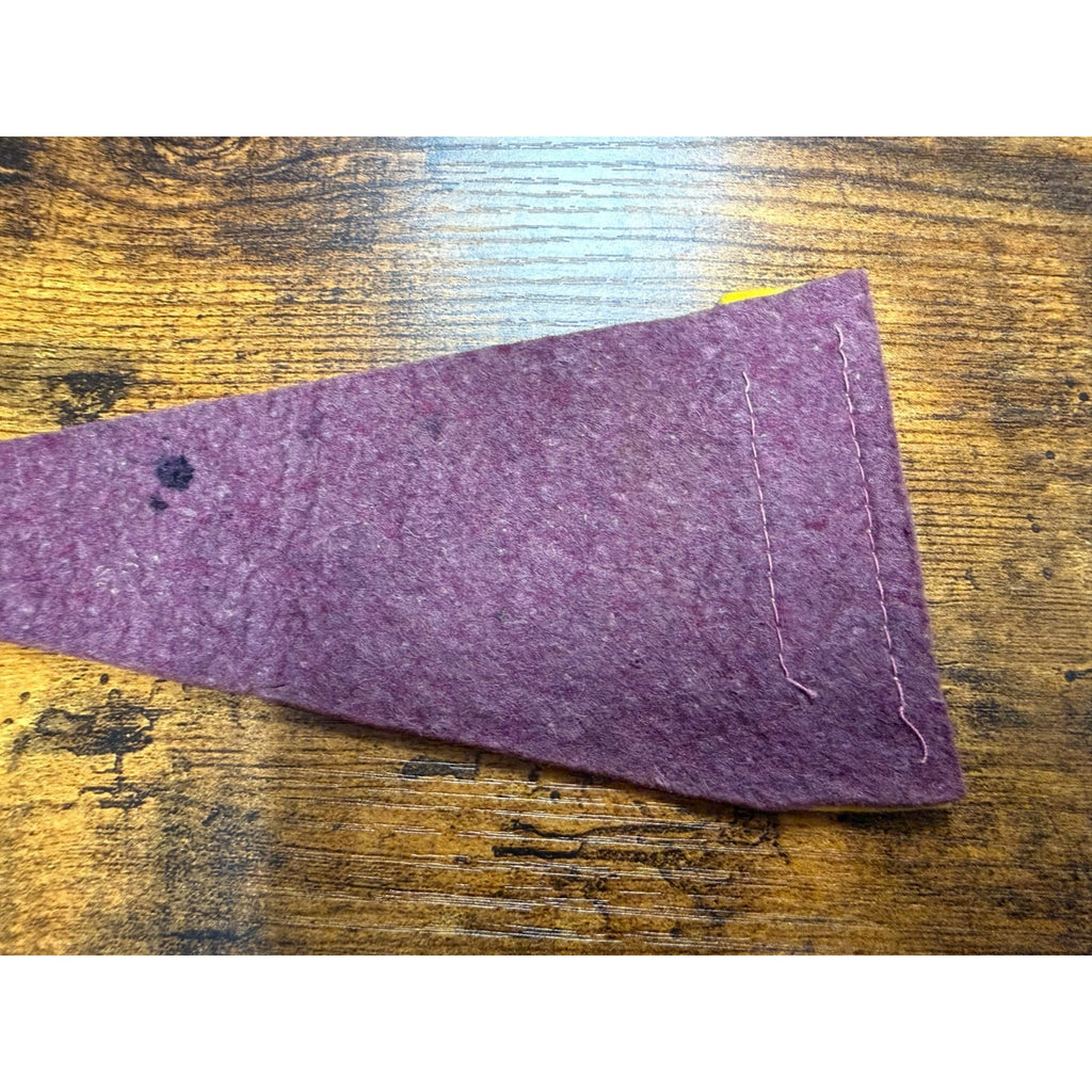 Vintage Hellgate Trading Post Missoula, Montana mini pennant