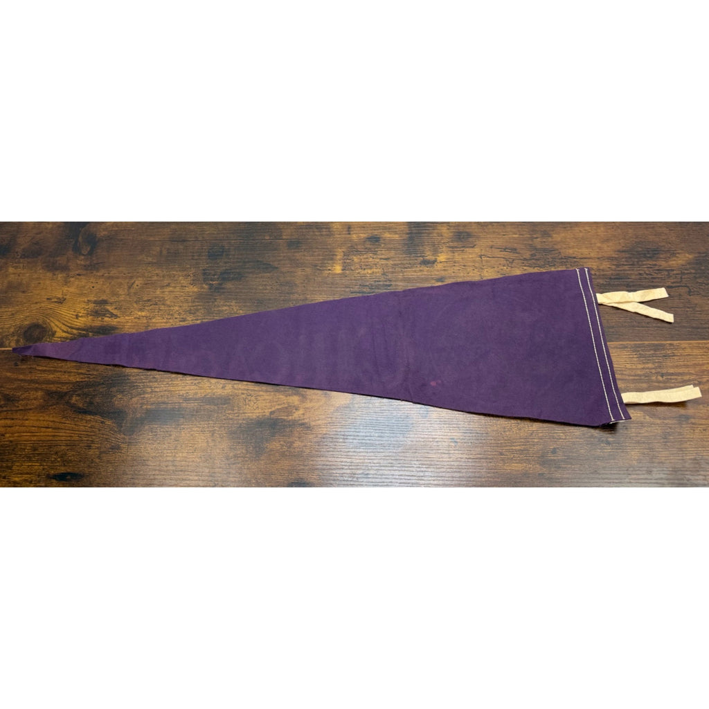 Vintage Texas Pennant Felt Flag "The Lone Star State" Purple 26.5 inches