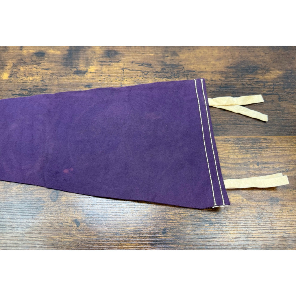 Vintage Texas Pennant Felt Flag "The Lone Star State" Purple 26.5 inches