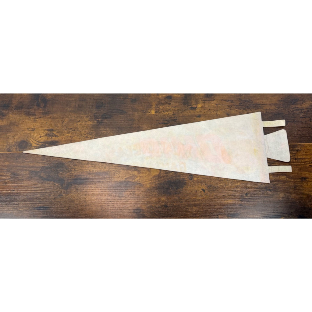 Ohio Vintage Souvenir Pennant Buckeye State Felt Flag With Illustrations