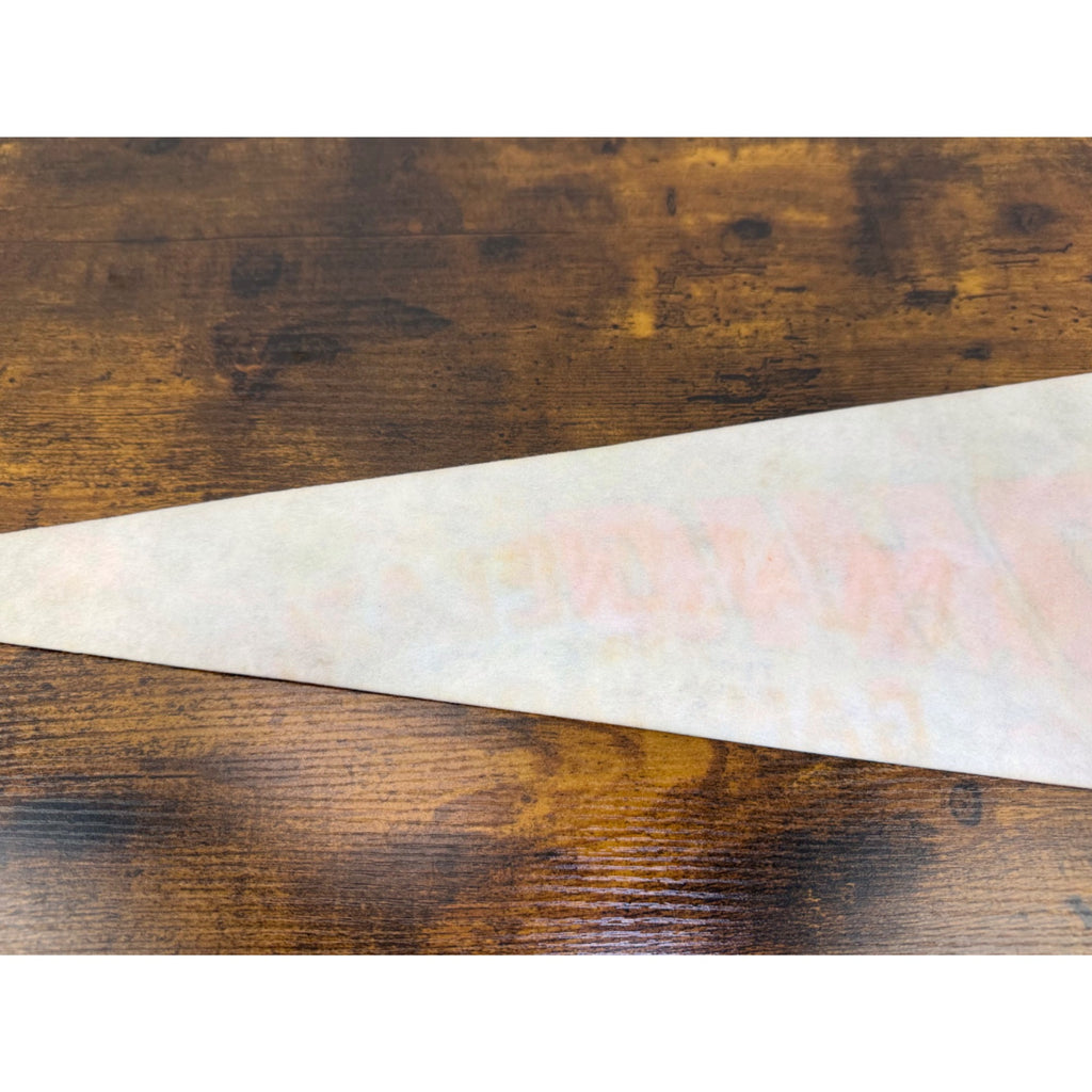 Ohio Vintage Souvenir Pennant Buckeye State Felt Flag With Illustrations