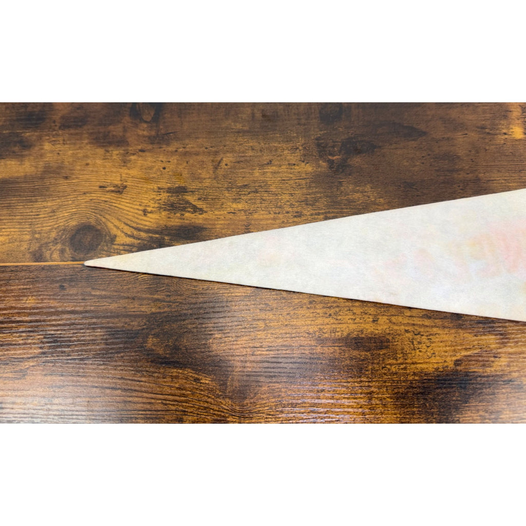 Ohio Vintage Souvenir Pennant Buckeye State Felt Flag With Illustrations