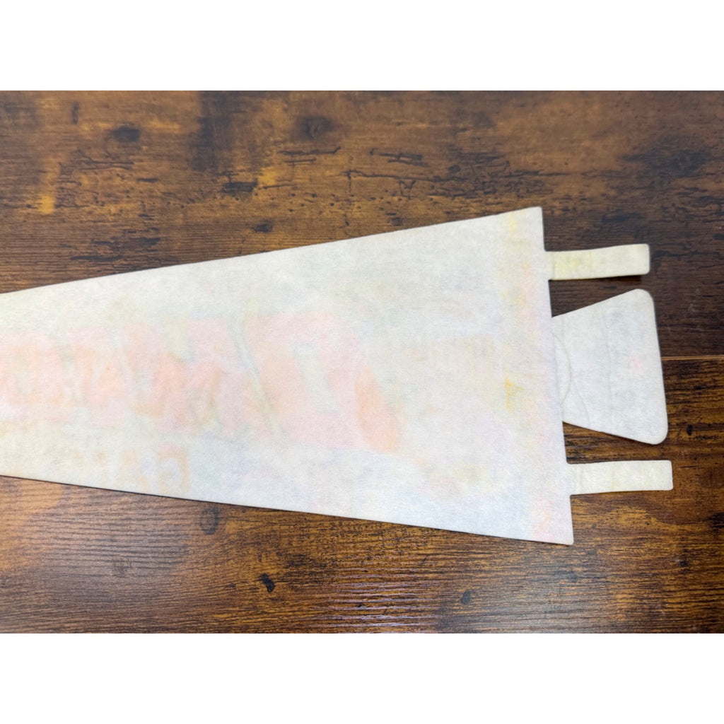 Ohio Vintage Souvenir Pennant Buckeye State Felt Flag With Illustrations