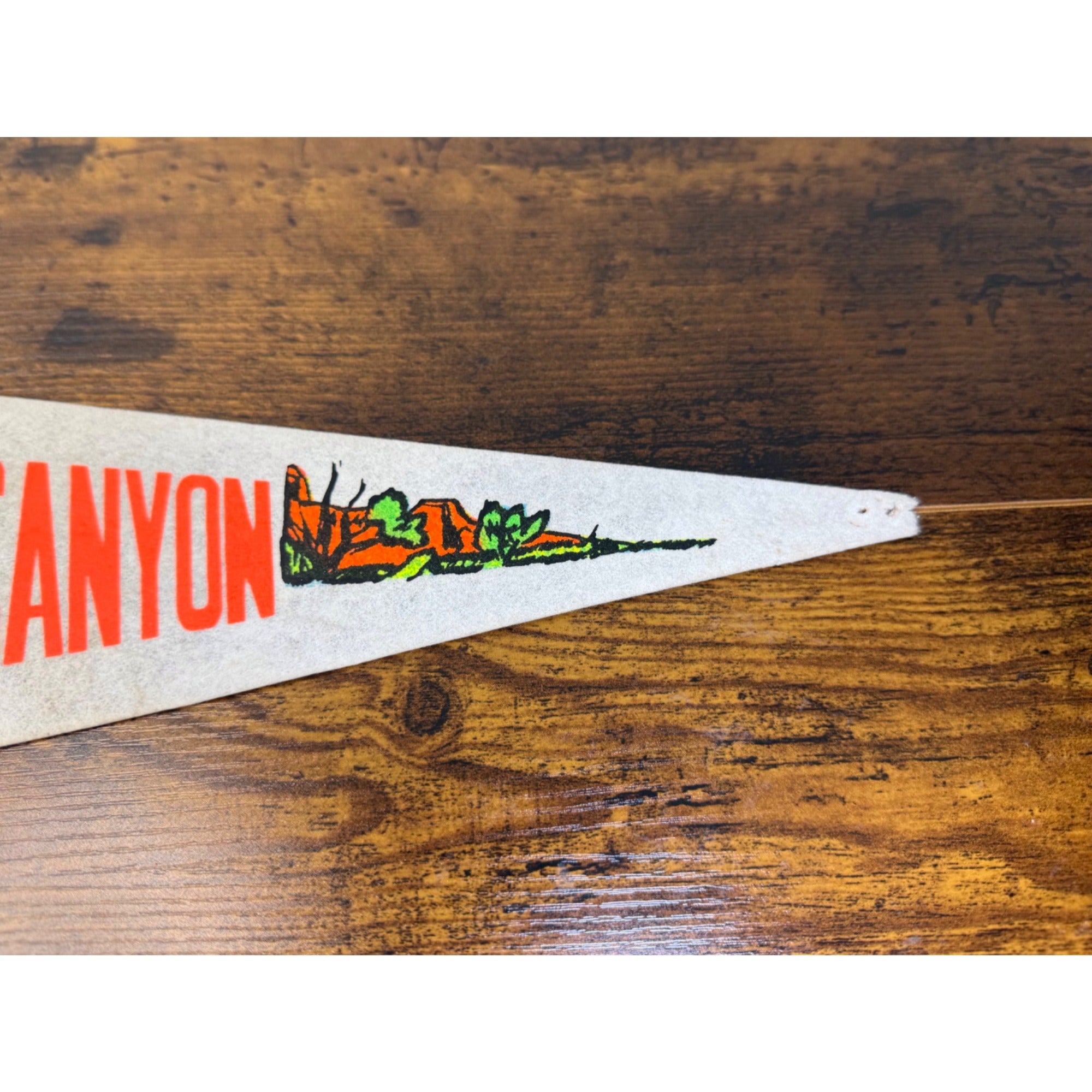 Vintage Palo Duro Canyon Texas Felt Pennant Banner 23 inches damaged tip