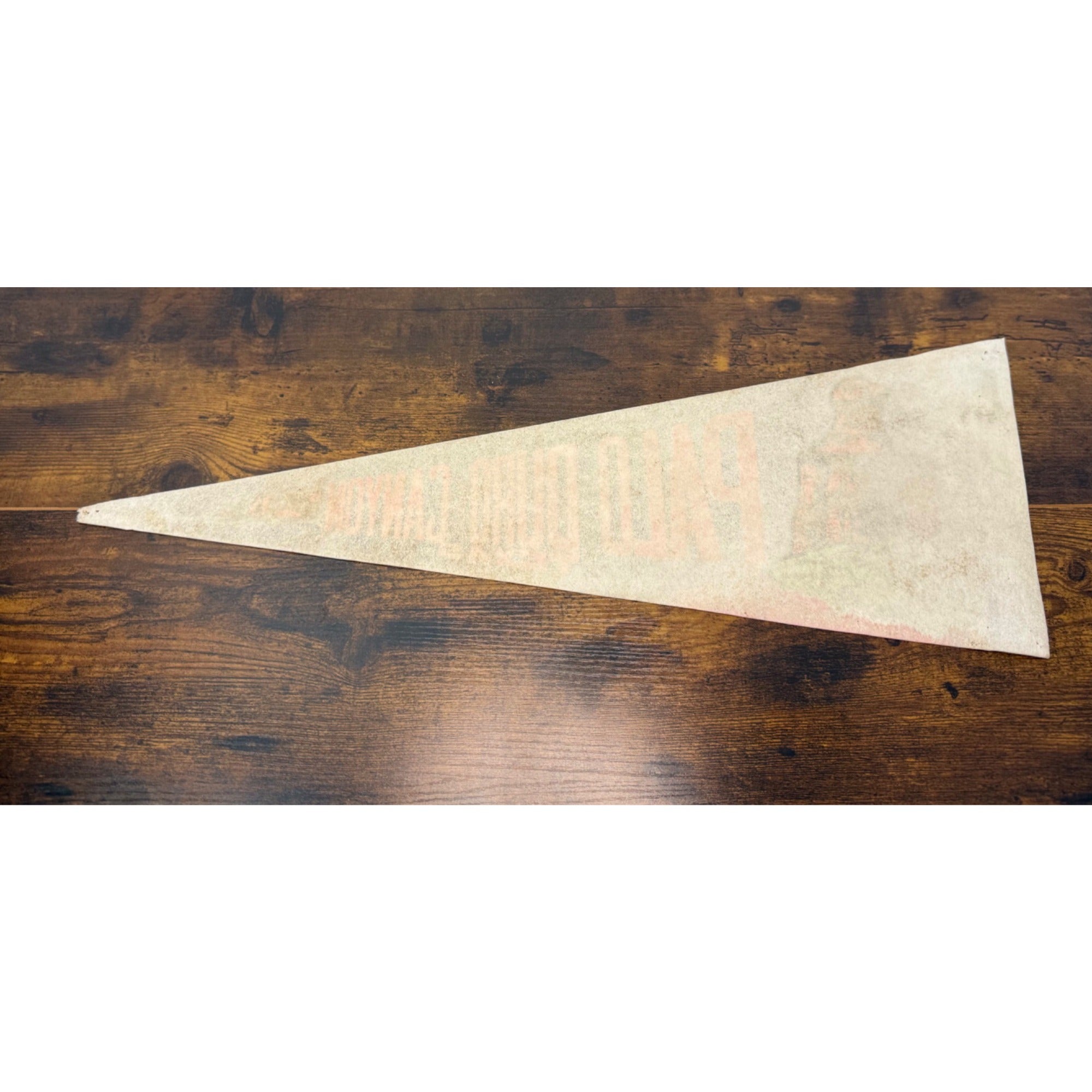 Vintage Palo Duro Canyon Texas Felt Pennant Banner 23 inches damaged tip