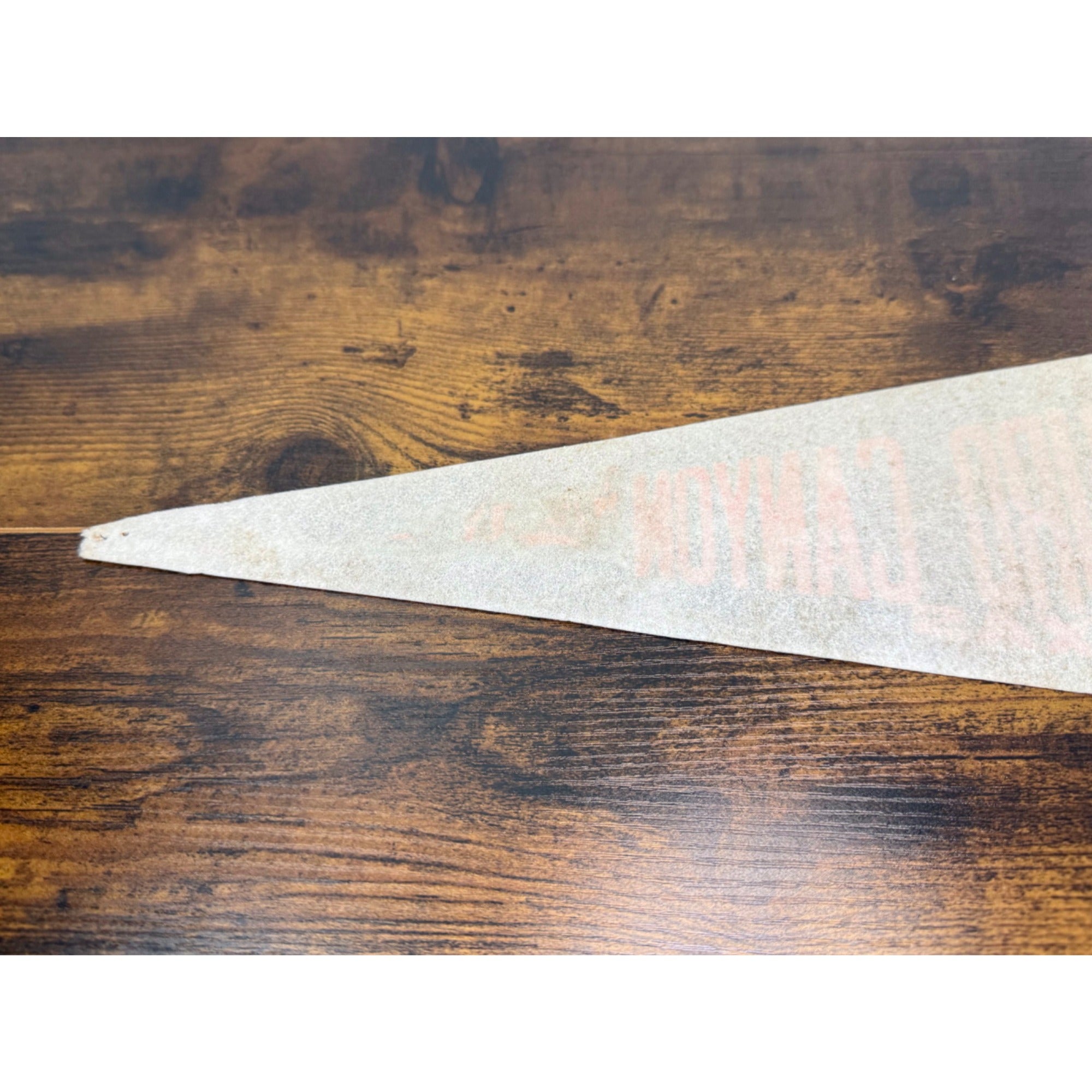 Vintage Palo Duro Canyon Texas Felt Pennant Banner 23 inches damaged tip