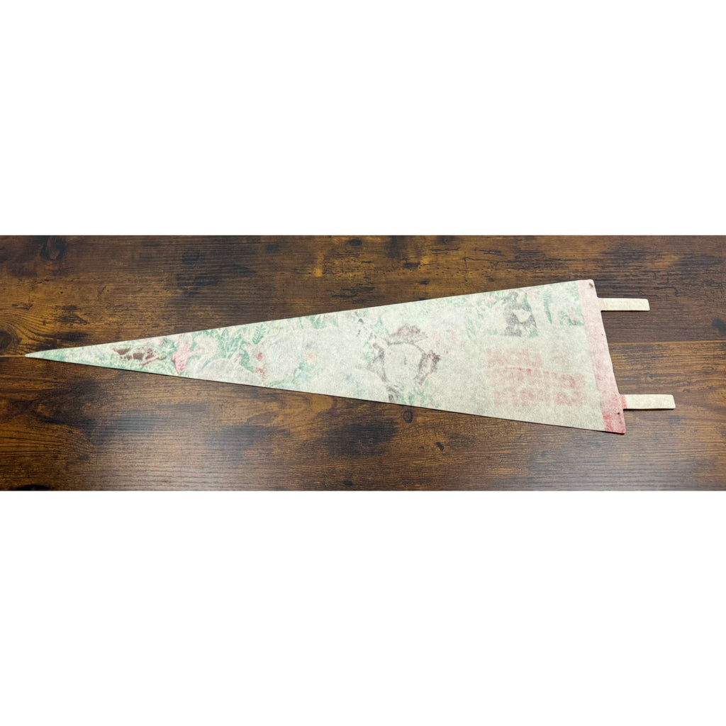 Vintage Lion Country Safari Felt Pennant West Palm Beach Florida 25 inches