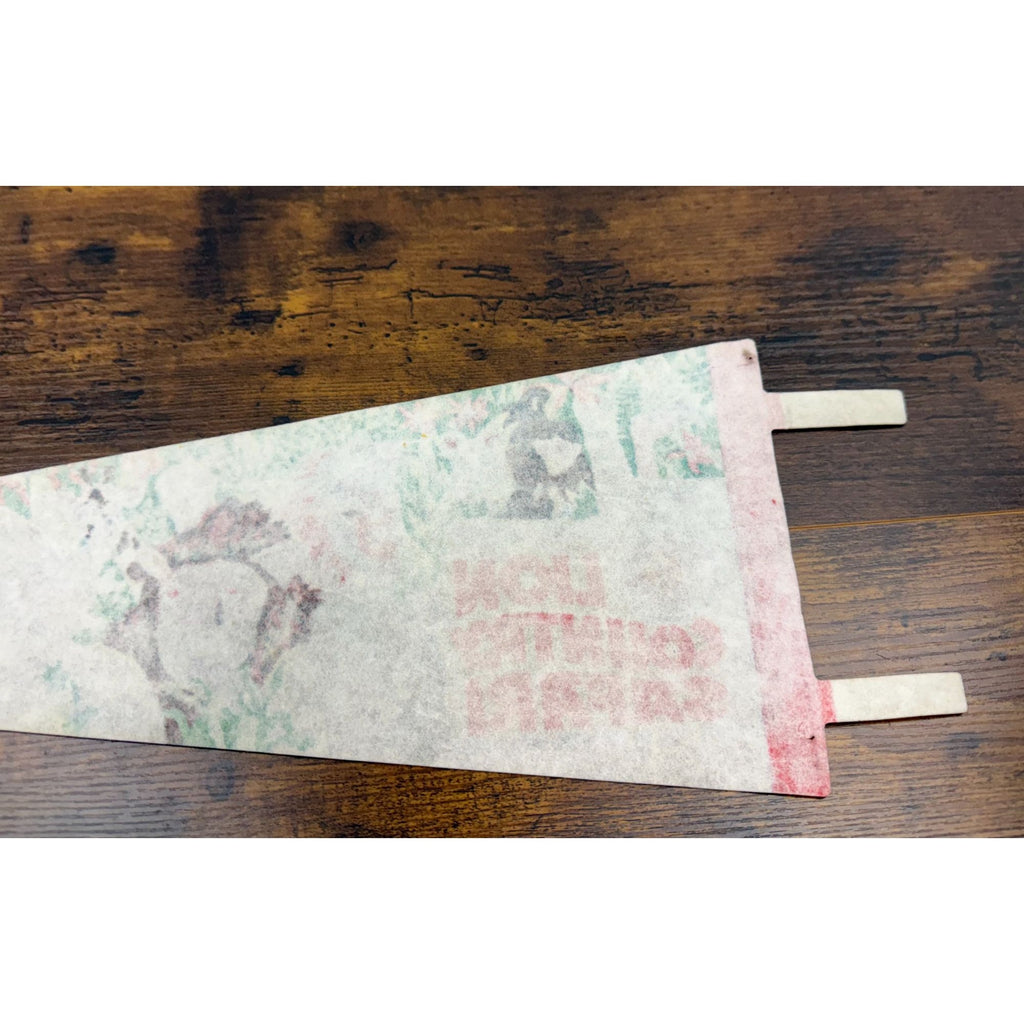 Vintage Lion Country Safari Felt Pennant West Palm Beach Florida 25 inches