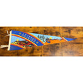Vintage Arizona Felt Pennant With Southwestern Artwork & Ties
