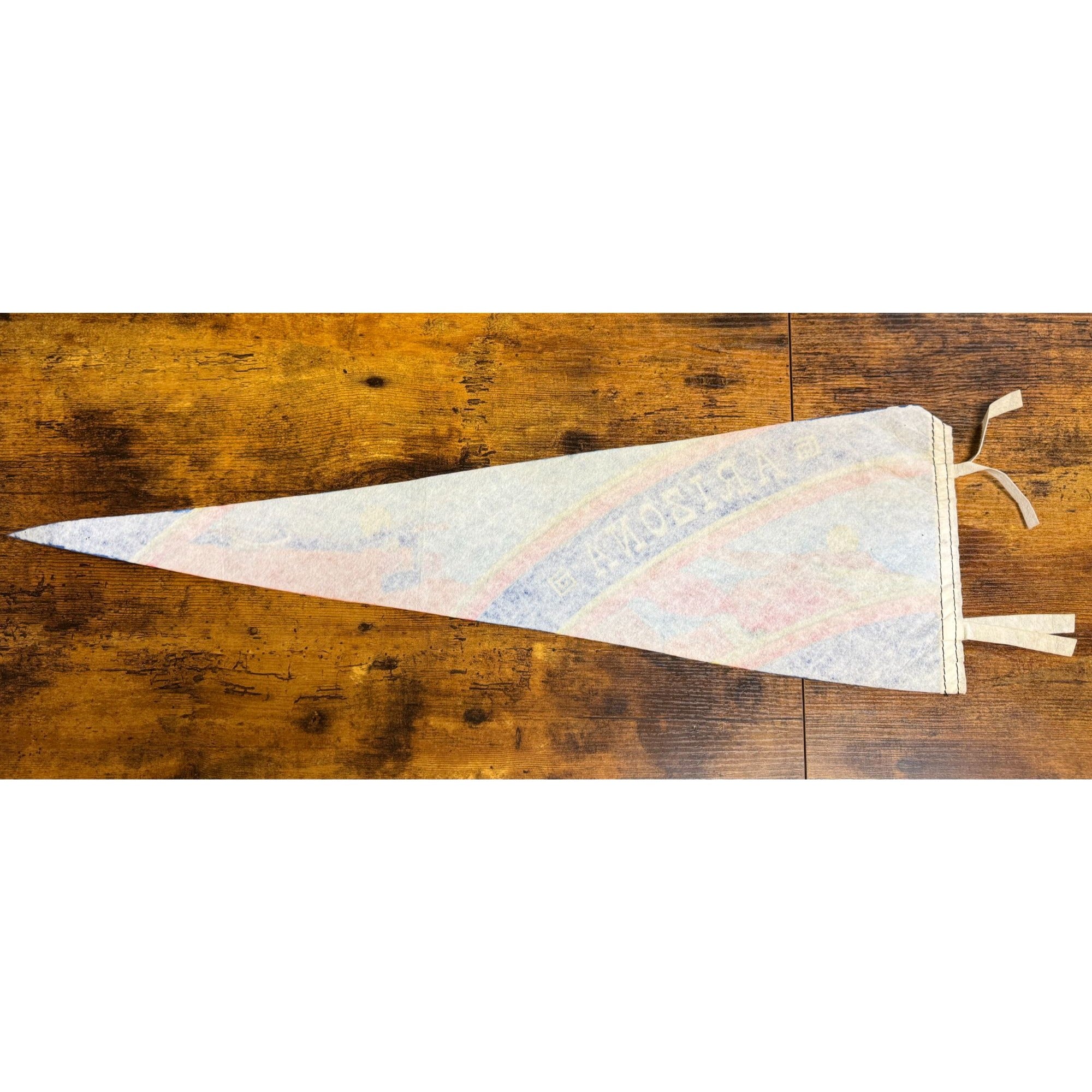 Vintage Arizona Felt Pennant With Southwestern Artwork & Ties