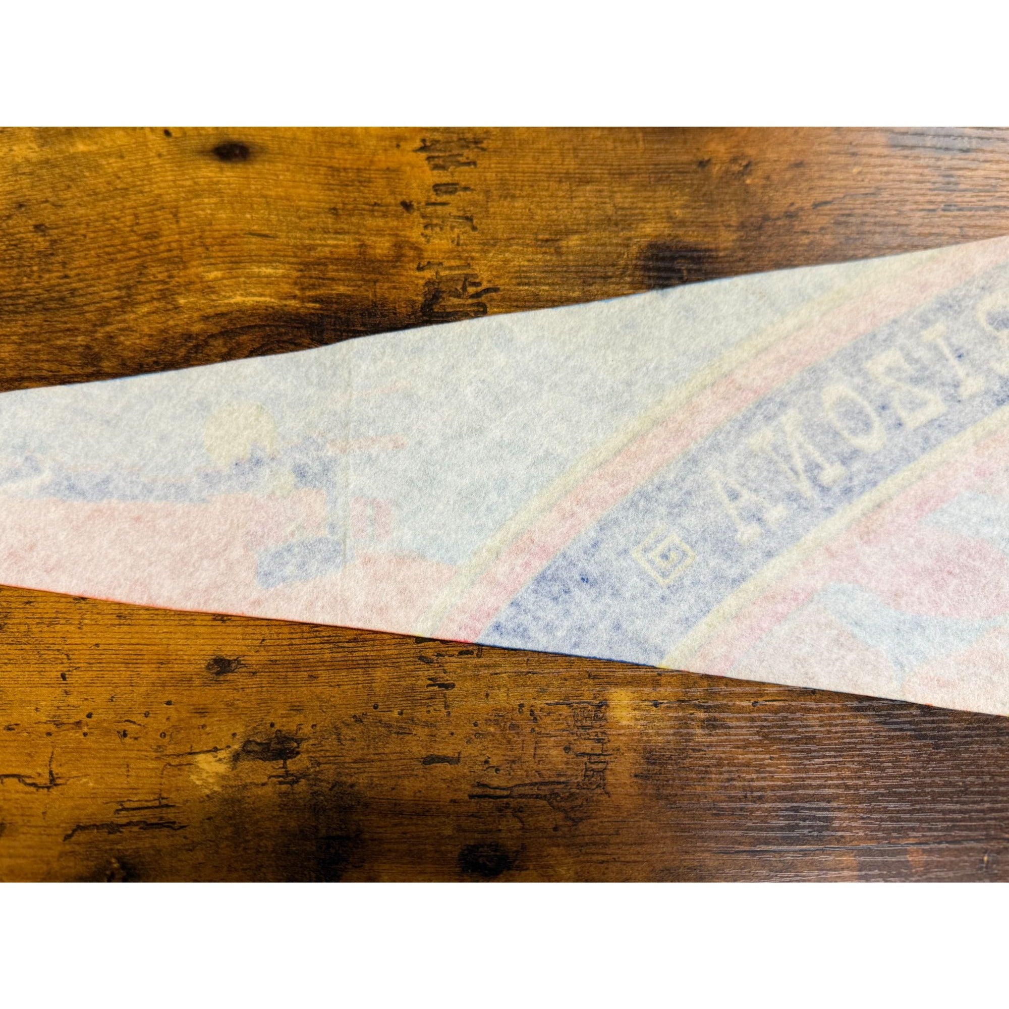 Vintage Arizona Felt Pennant With Southwestern Artwork & Ties