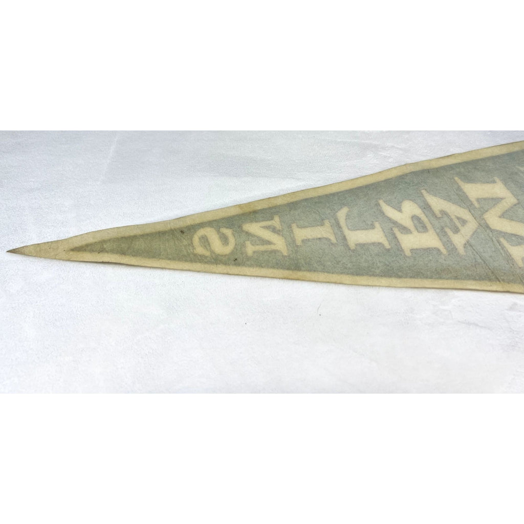 Vintage MLB Florida Marlins pennant