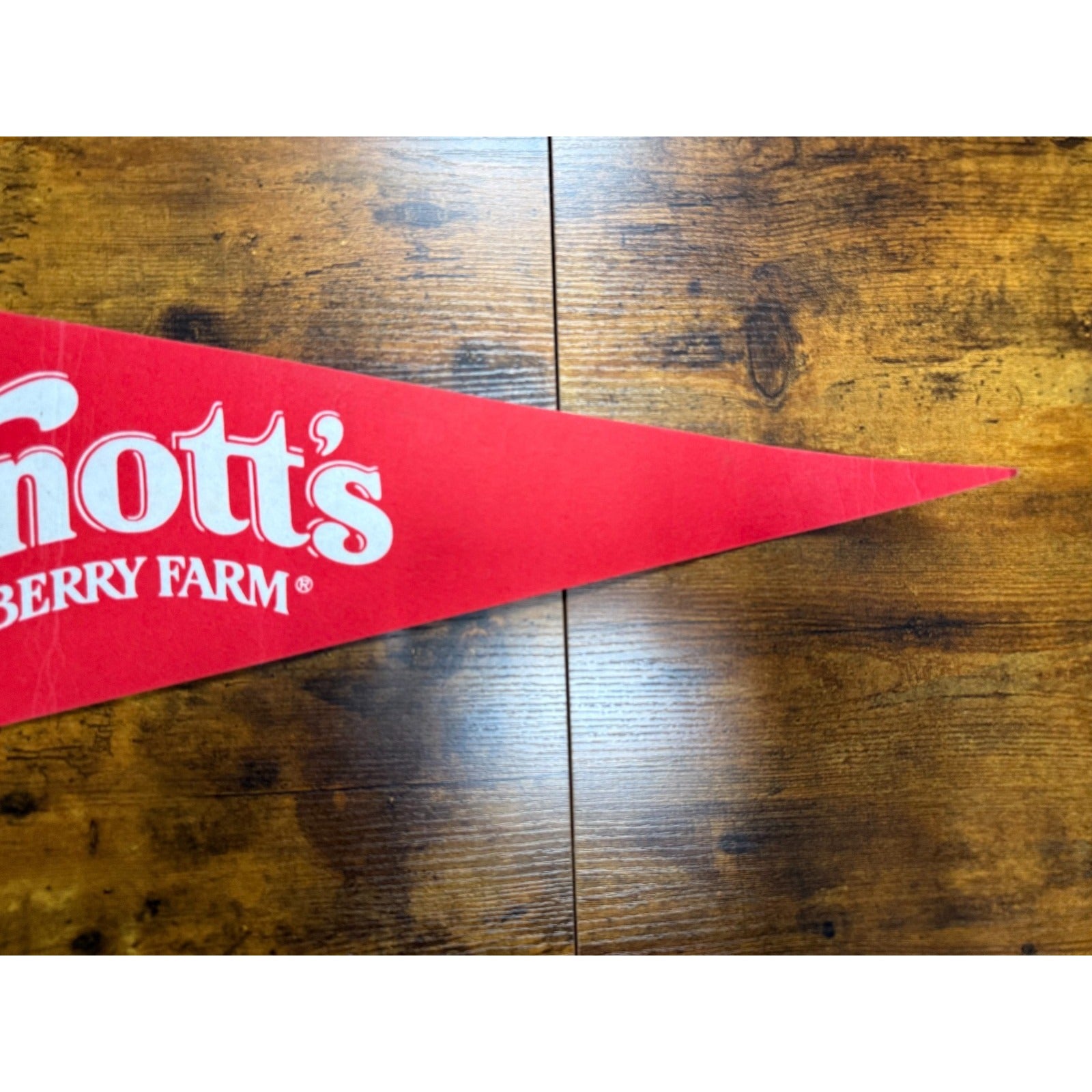 Vintage Knott's Berry Farm Camp Snoopy 30 Inch Felt Pennant