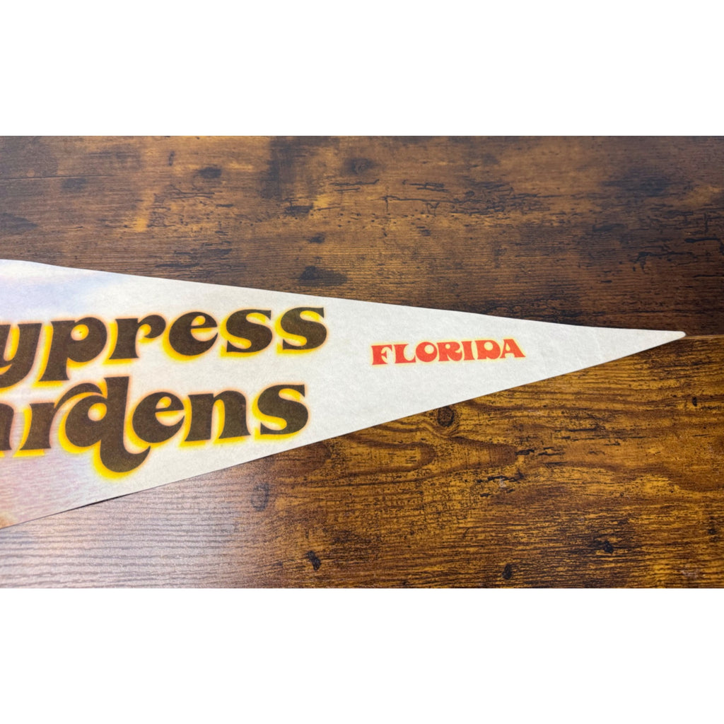 Vintage Cypress Gardens Florida Souvenir Pennant With Water Skiing Scene Felt