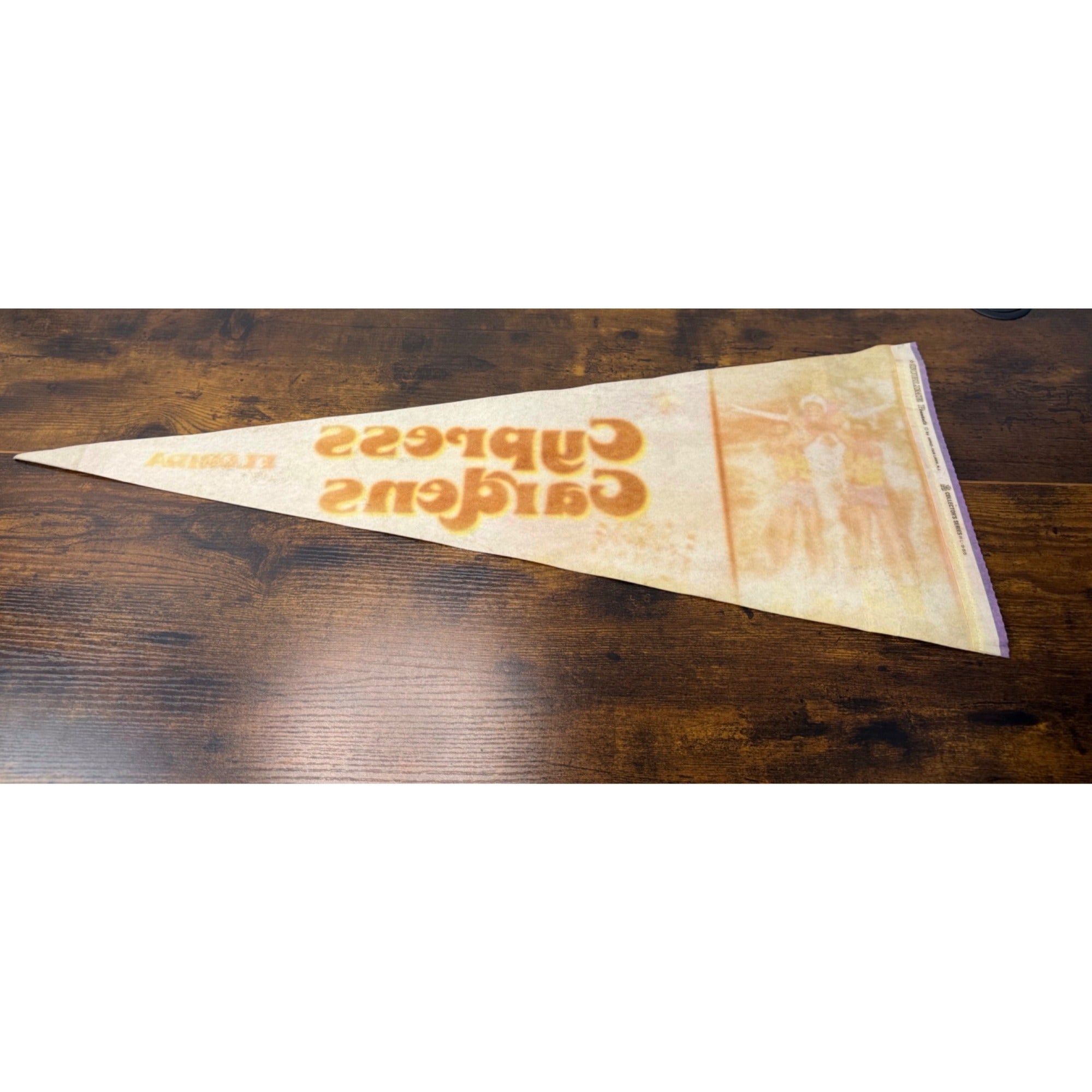 Vintage Cypress Gardens Florida Souvenir Pennant With Water Skiing Scene Felt