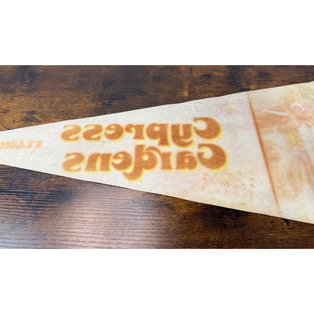 Vintage Cypress Gardens Florida Souvenir Pennant With Water Skiing Scene Felt