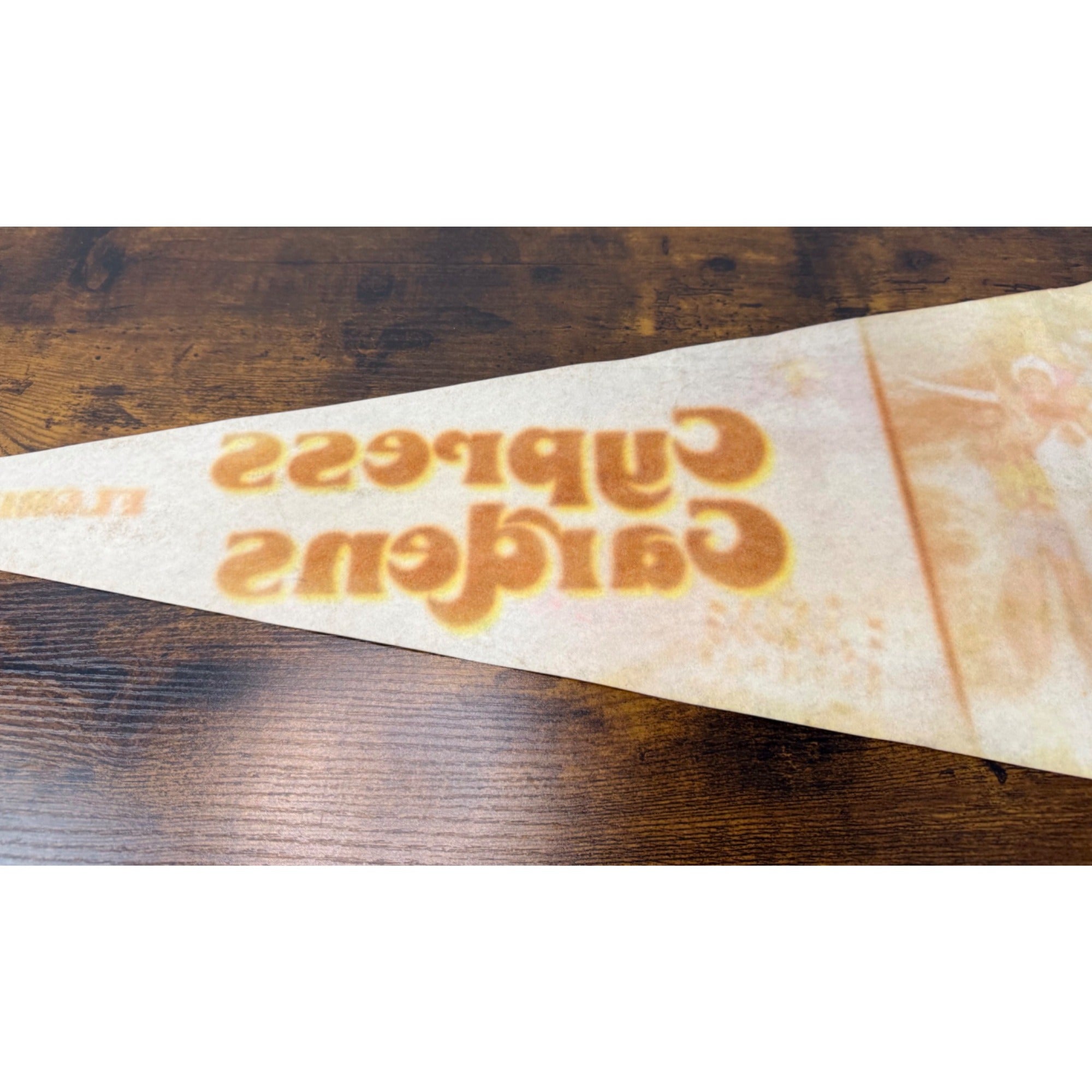 Vintage Cypress Gardens Florida Souvenir Pennant With Water Skiing Scene Felt