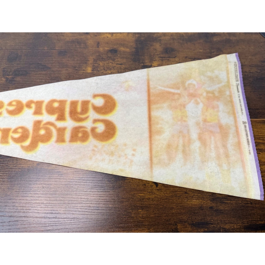 Vintage Cypress Gardens Florida Souvenir Pennant With Water Skiing Scene Felt