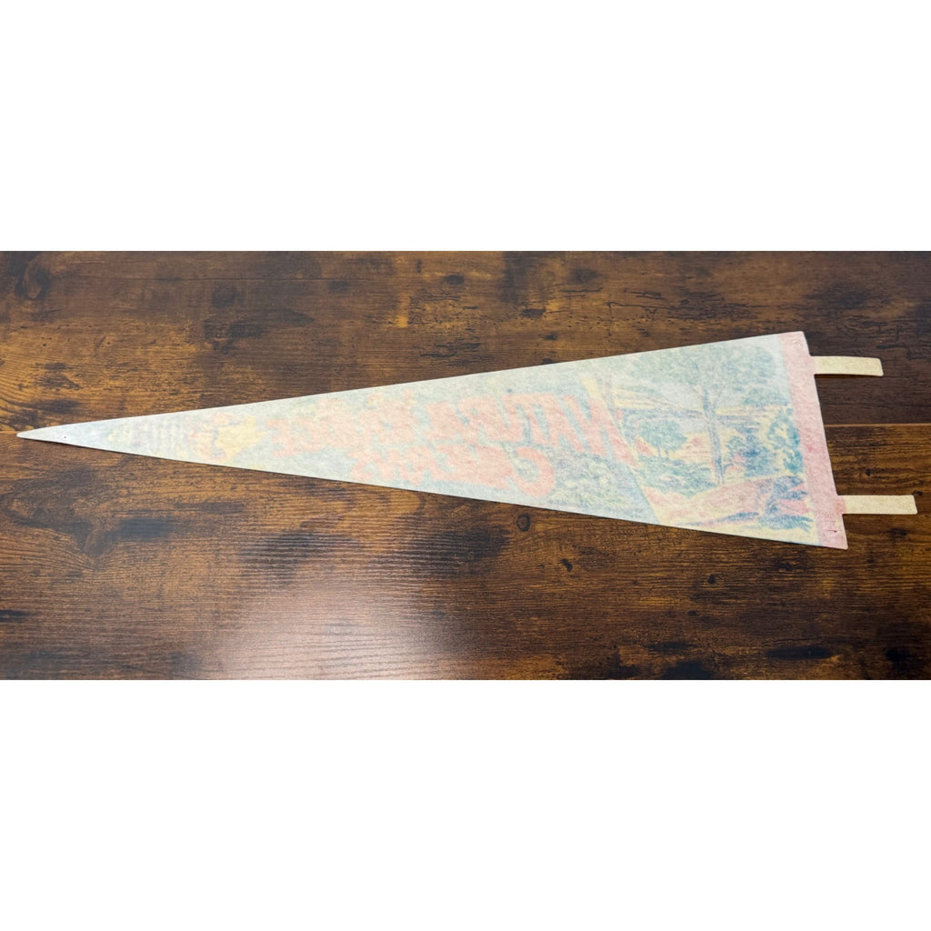 Natural Bridge Caverns Vintage 1977 Felt Pennant National Landmark 25 inches