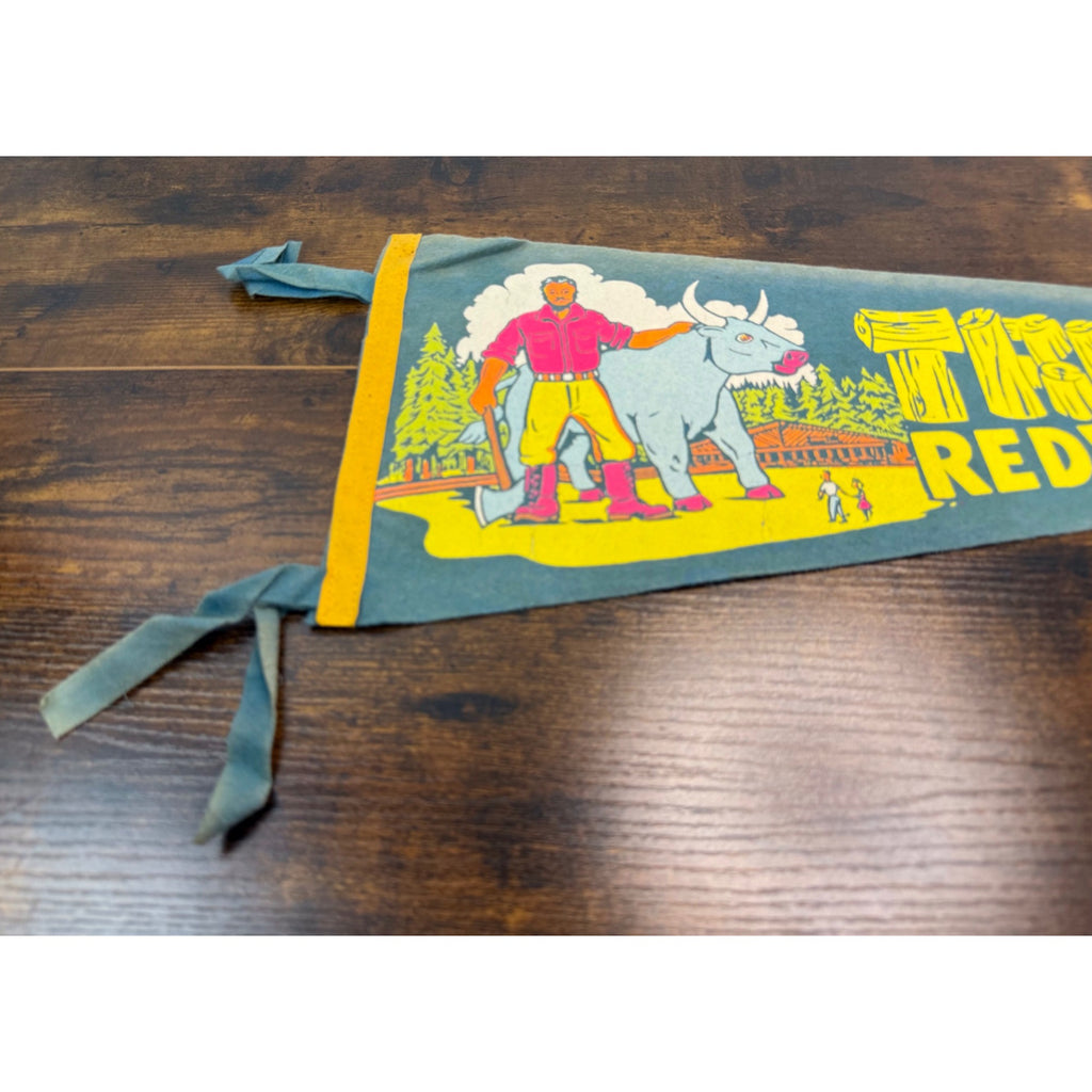 Vintage Trees Of Mystery Pennant Redwood Highway California Felt Souvenir