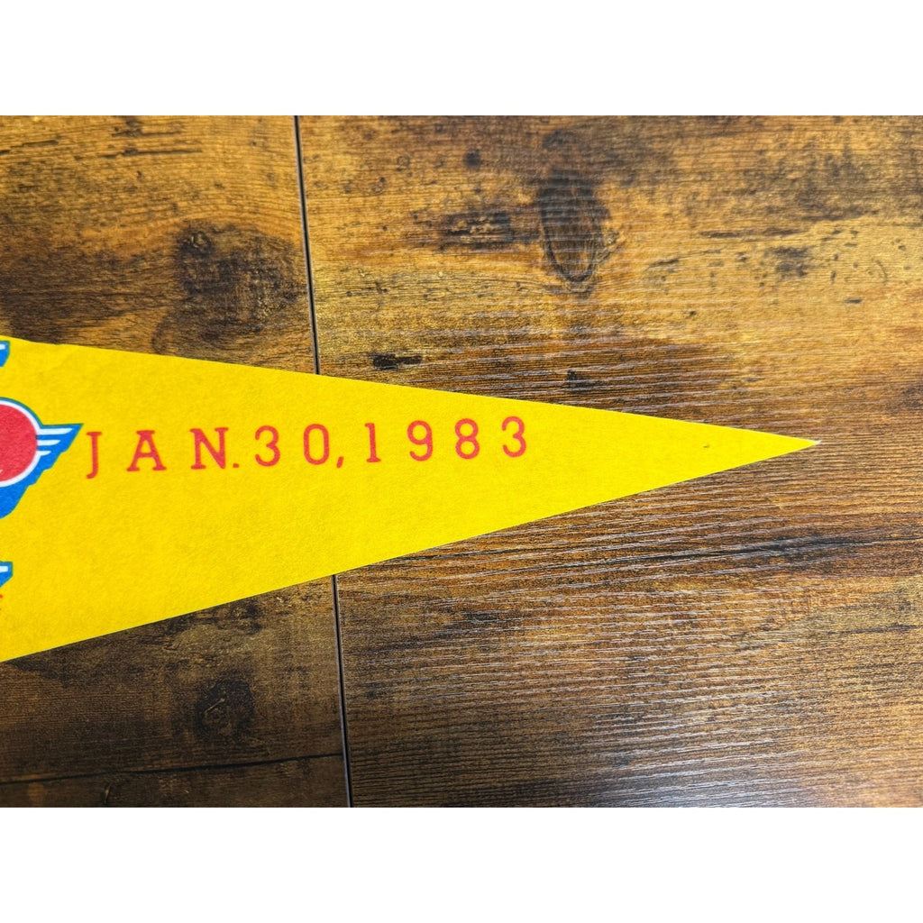 Vintage NFL Washington Redskins 1982 NFC Champions Pennant Super Bowl XVII