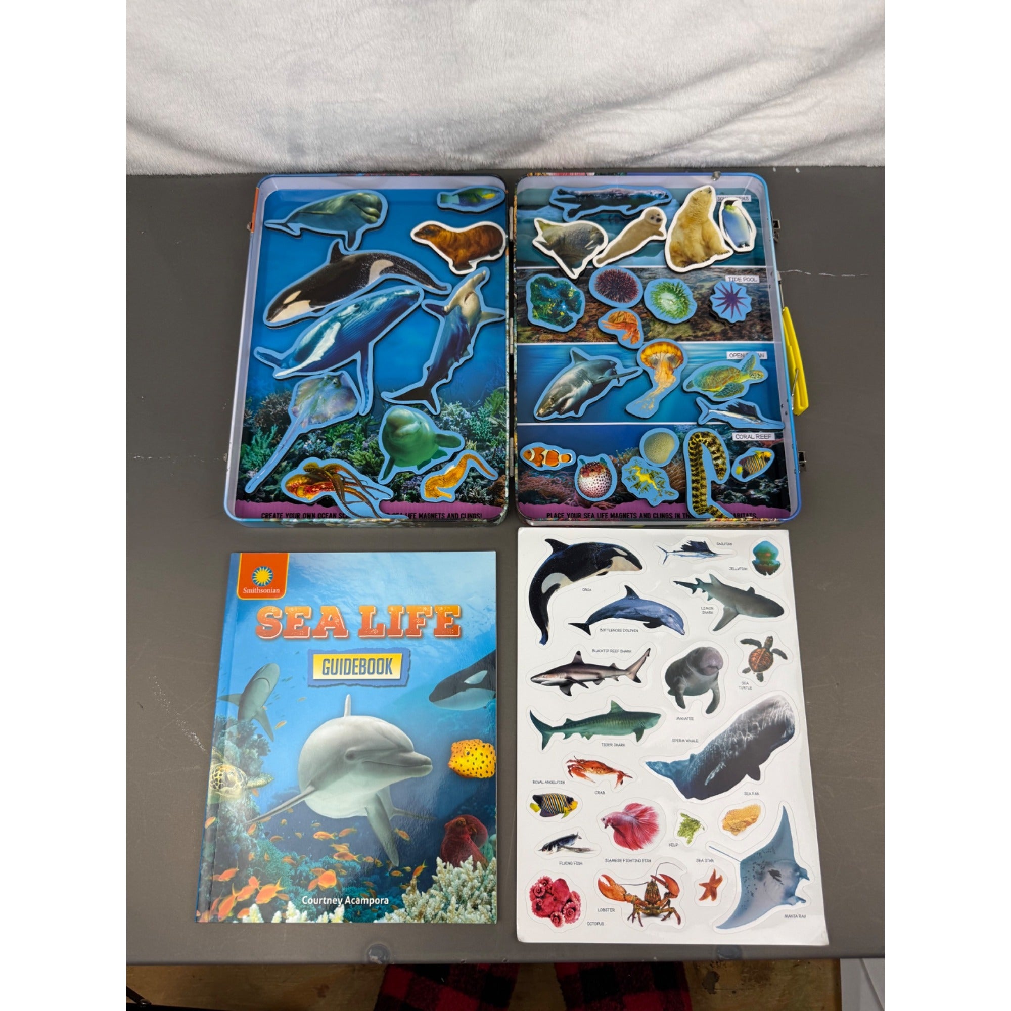 Smithsonian Magnetic Adventures Sea Life Set With Guidebook & Reusable Clings