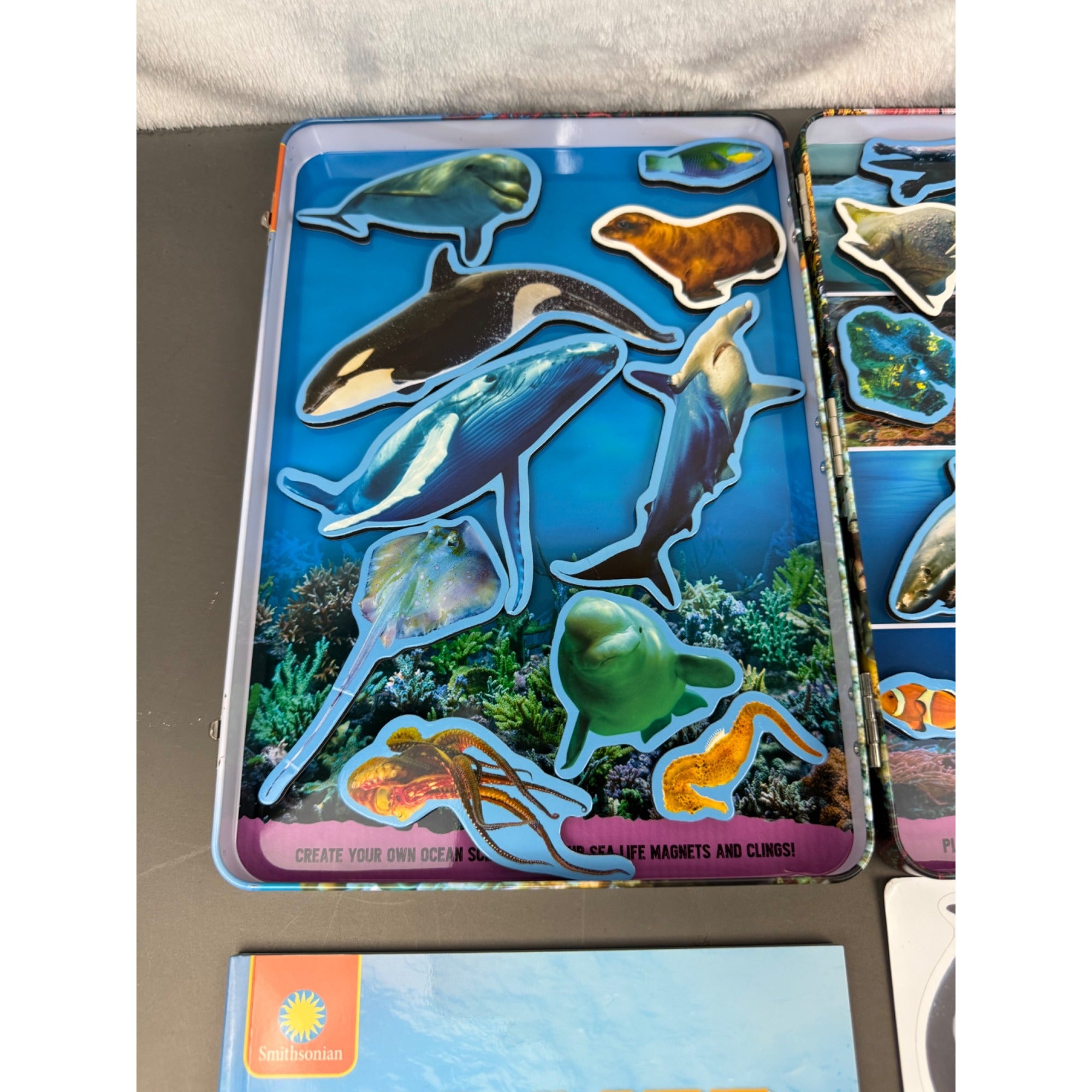 Smithsonian Magnetic Adventures Sea Life Set With Guidebook & Reusable Clings