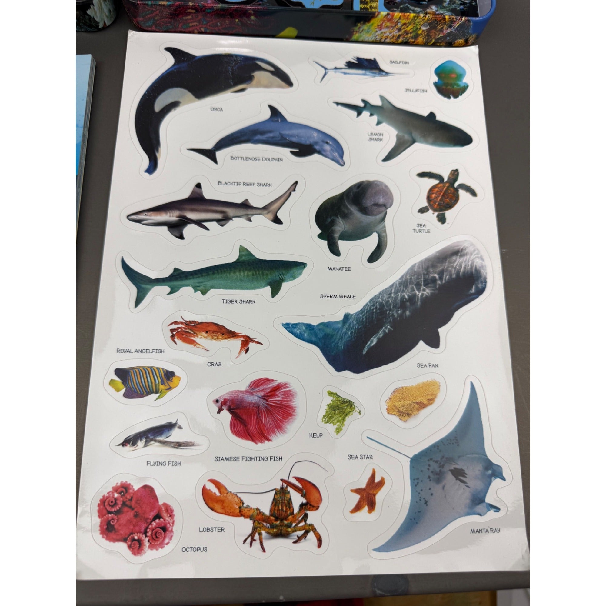 Smithsonian Magnetic Adventures Sea Life Set With Guidebook & Reusable Clings