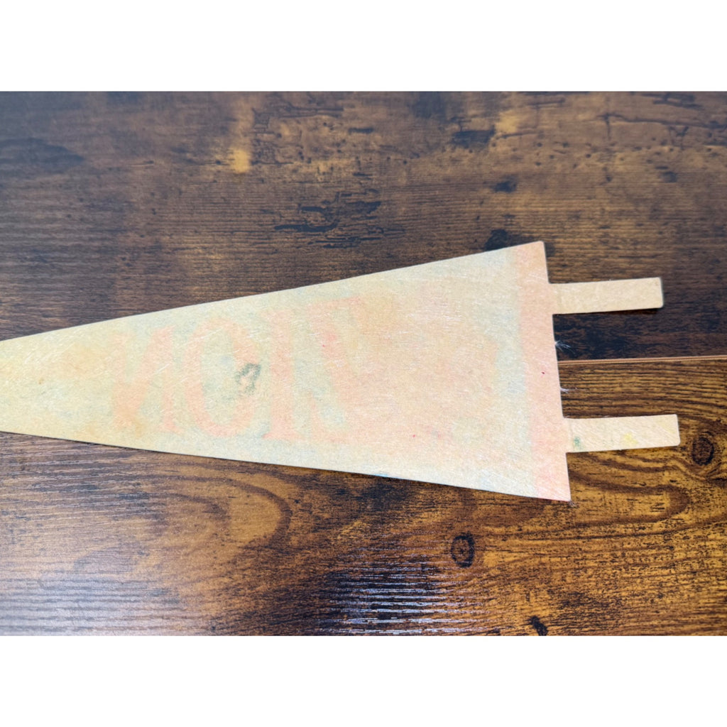 Vintage Zion National Park Pennant Banner - Utah felt flag With Scenic design