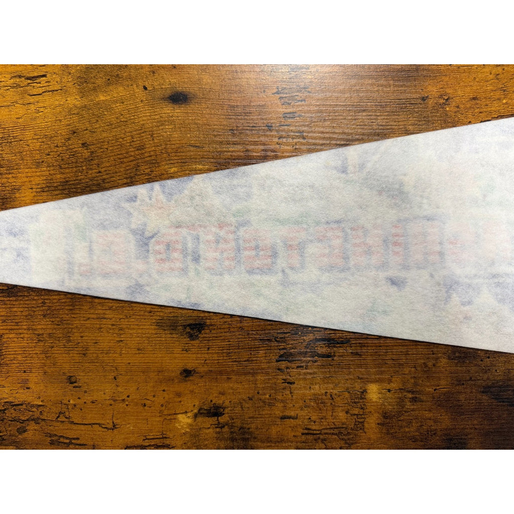 Vintage Washington, D.C. pennant