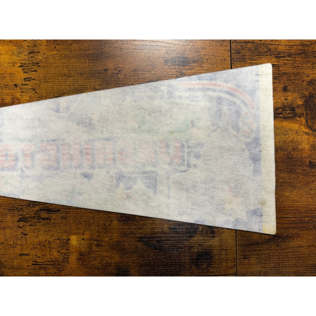 Vintage Washington, D.C. pennant