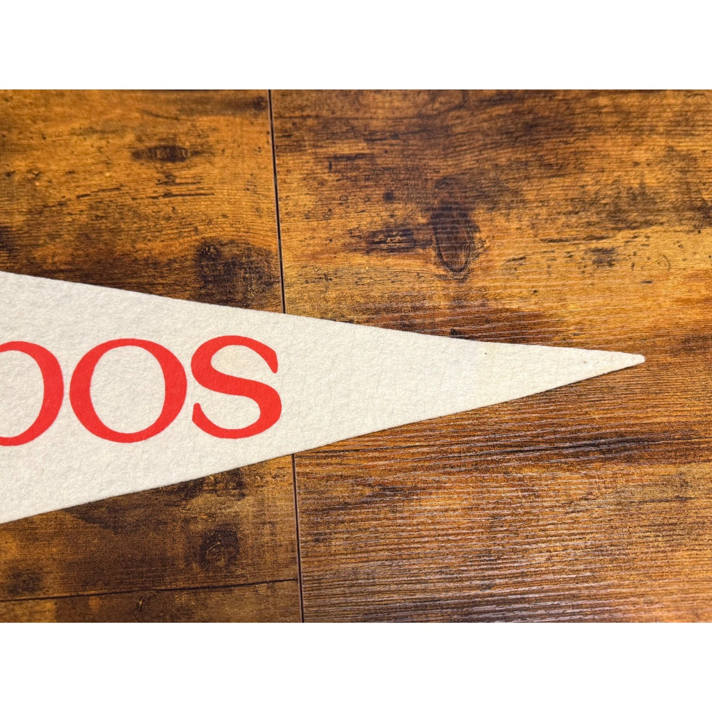 Vintage Montreal Expos pennant