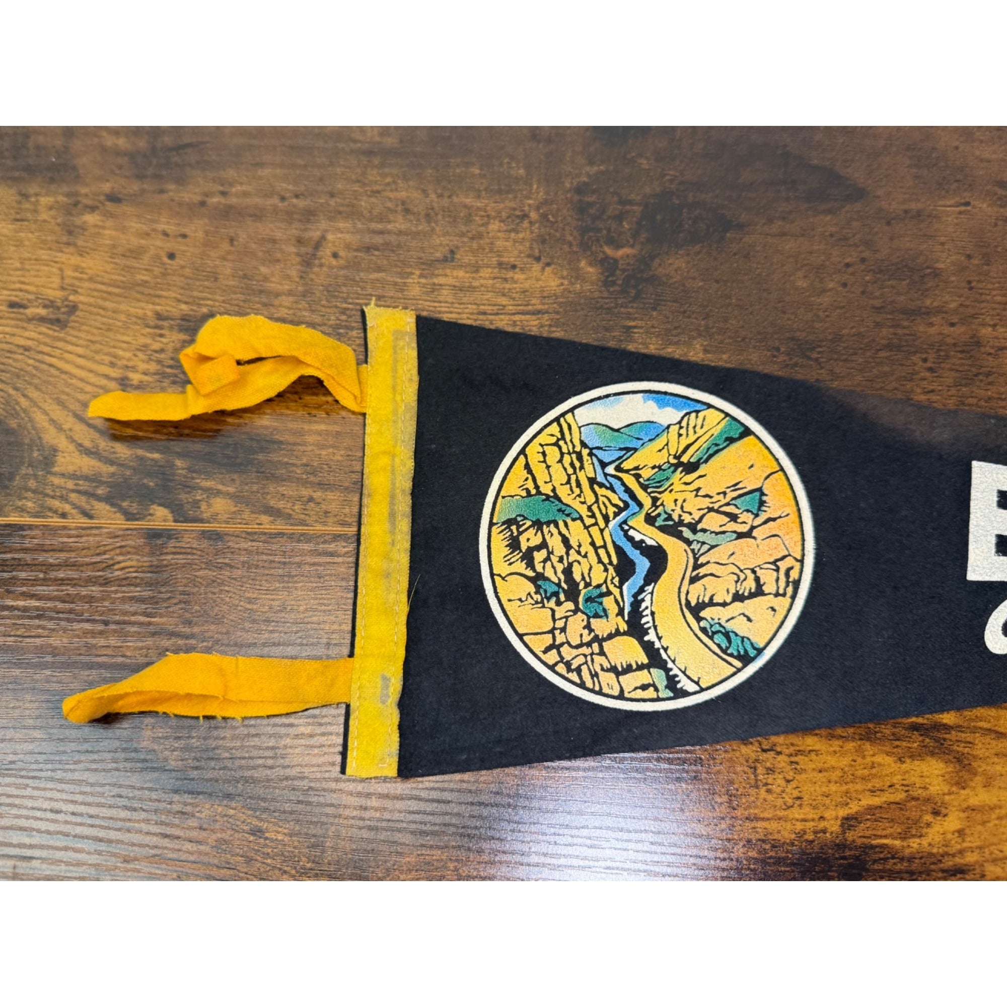 Vintage Estes Park Colorado Souvenir Felt Pennant With Scenic Graphic Design