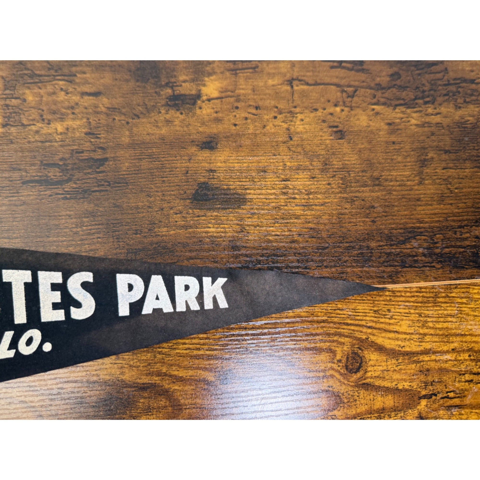Vintage Estes Park Colorado Souvenir Felt Pennant With Scenic Graphic Design