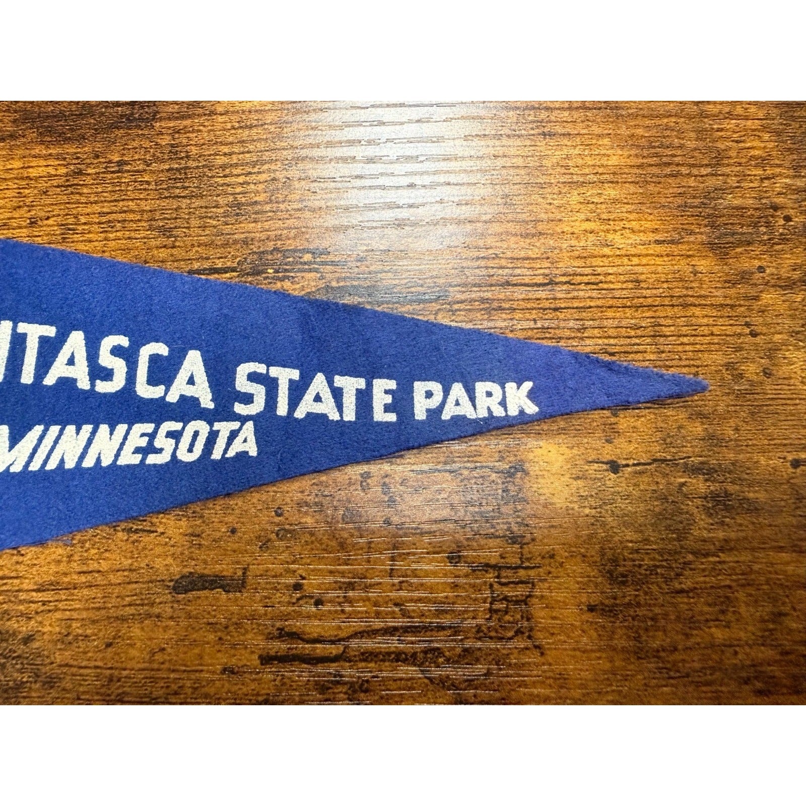 Vintage Itasca State Park Minnisota mini pennant