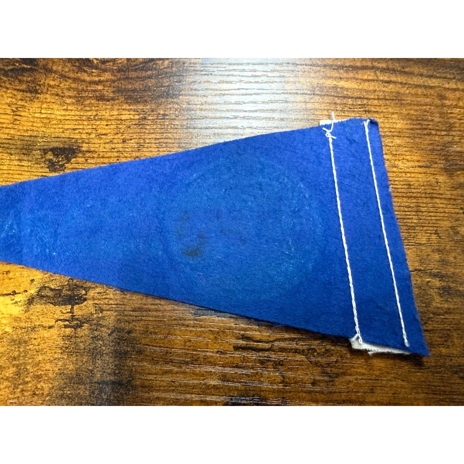 Vintage Itasca State Park Minnisota mini pennant