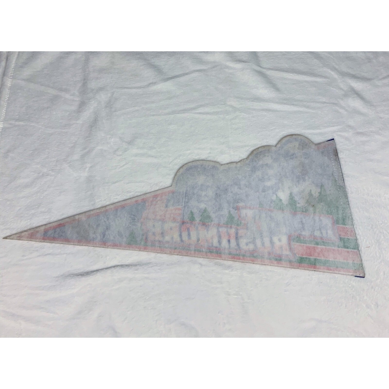 Vintage Mount Rushmore pennant