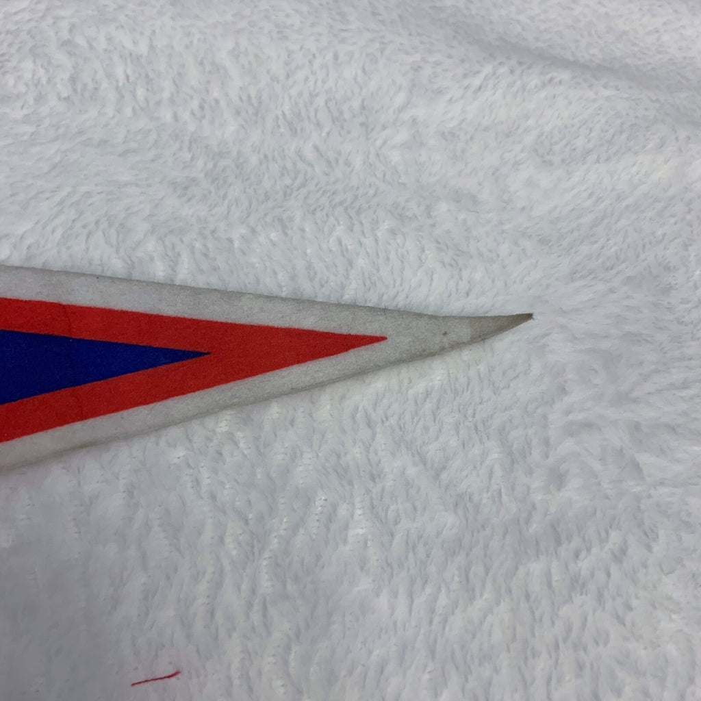 Vintage Mount Rushmore pennant