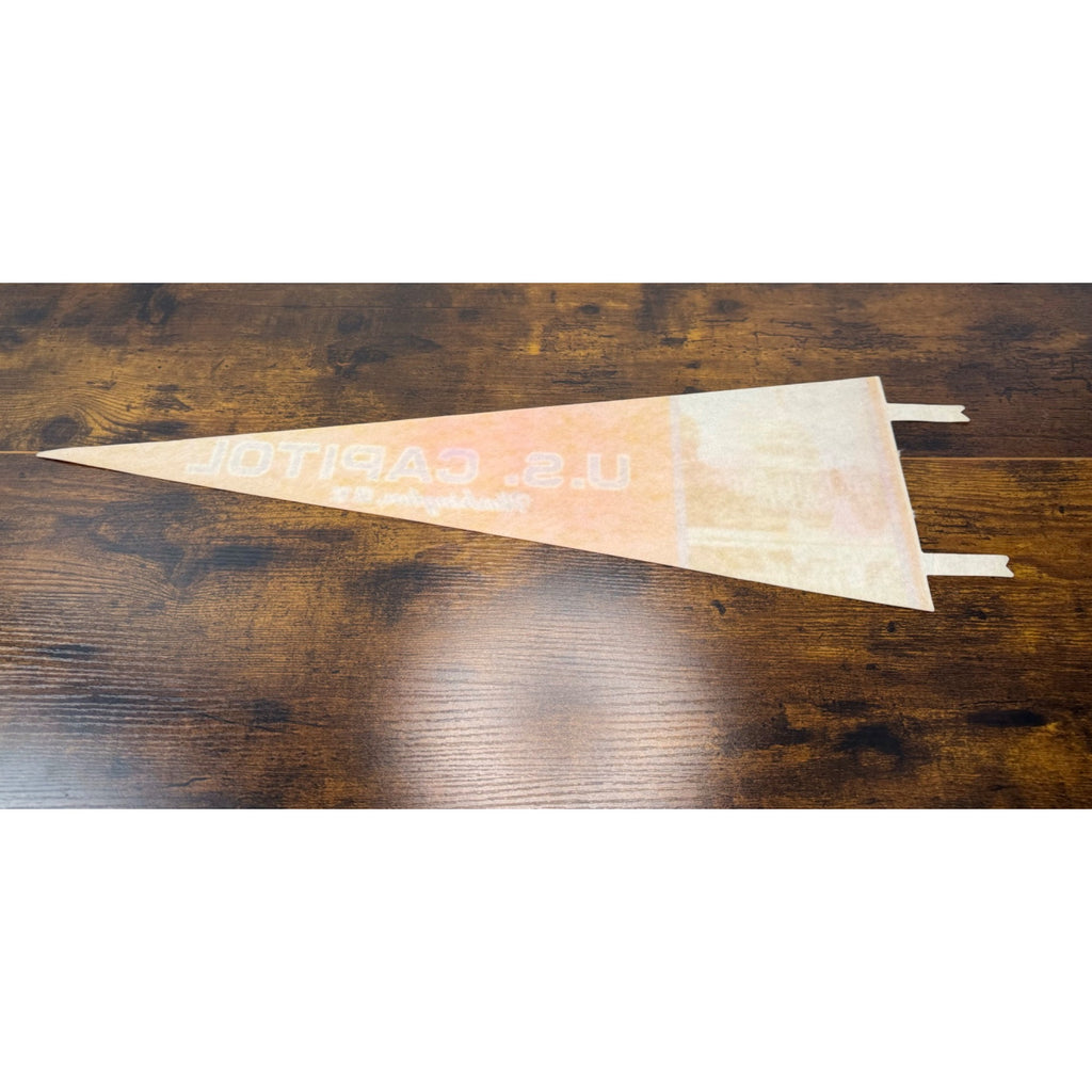 Vintage U.S. Capitol Washington D.C. Souvenir Felt Pennant With Capitol Image