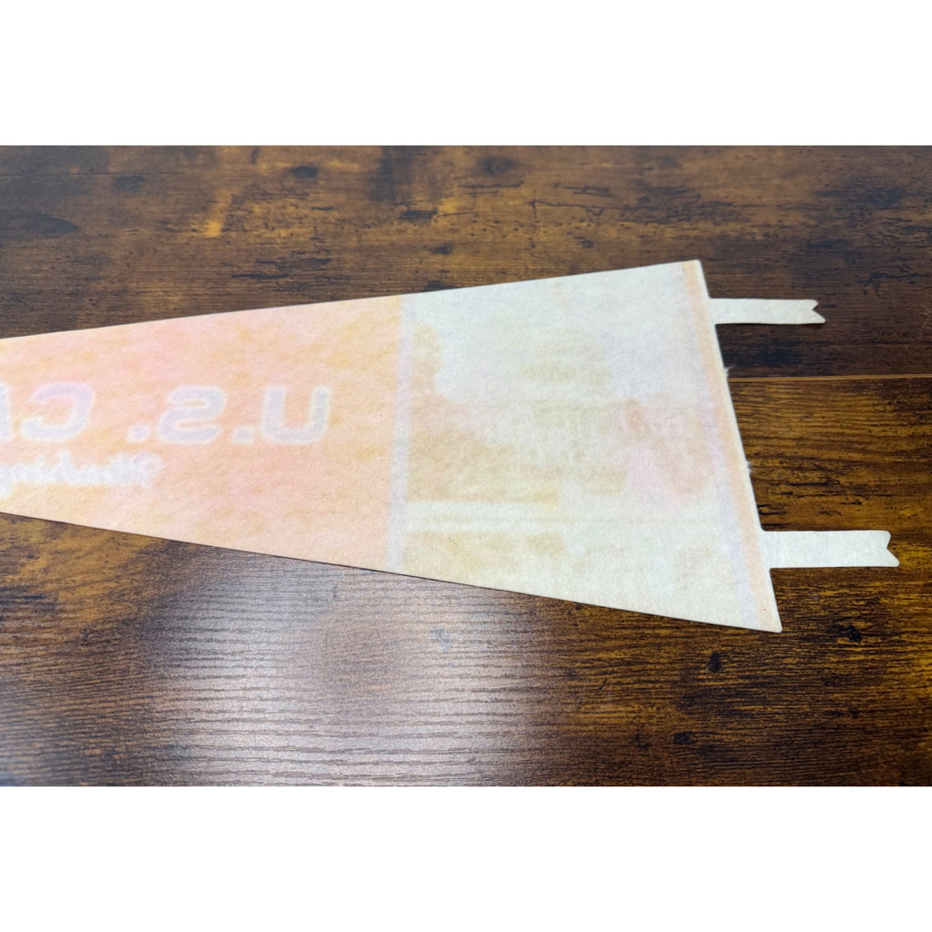 Vintage U.S. Capitol Washington D.C. Souvenir Felt Pennant With Capitol Image