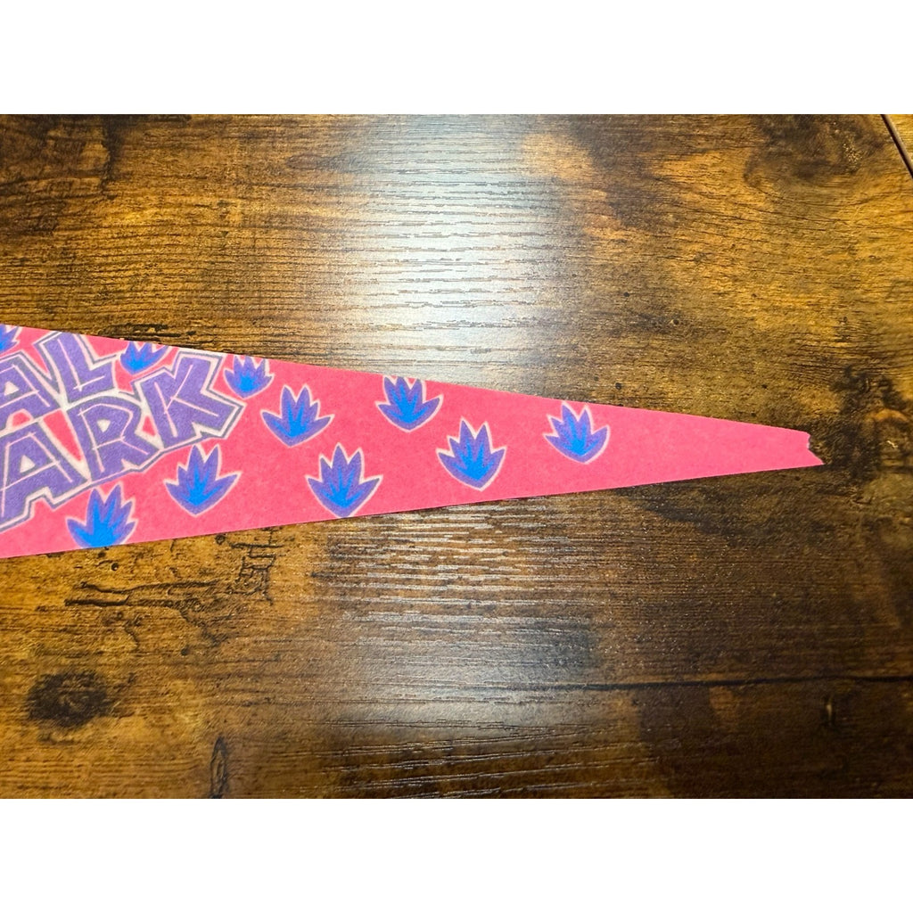 Vintage San Diego Wild Animal Park pennant